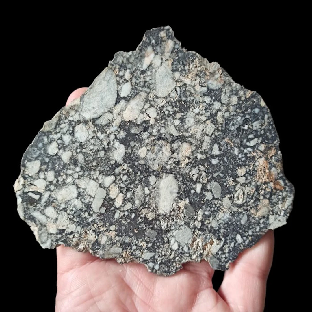 XXL MUSEUM Authentic Moon Meteorite. Slice. NWA 15583 (Algeria, 2022). - 54.8 g