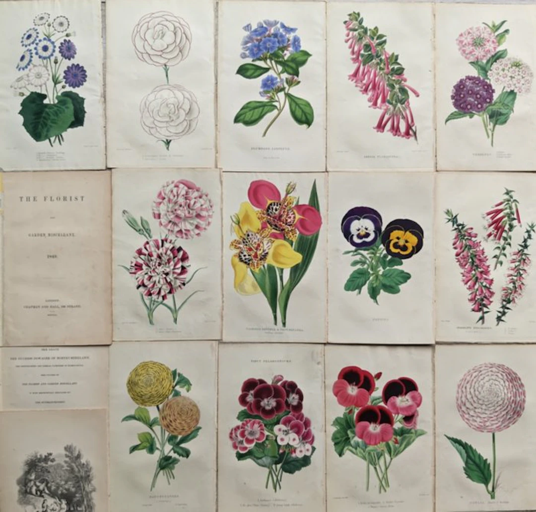 James Andrews (1801 /1879) - Edward Beck (1803 /1861) - Lot