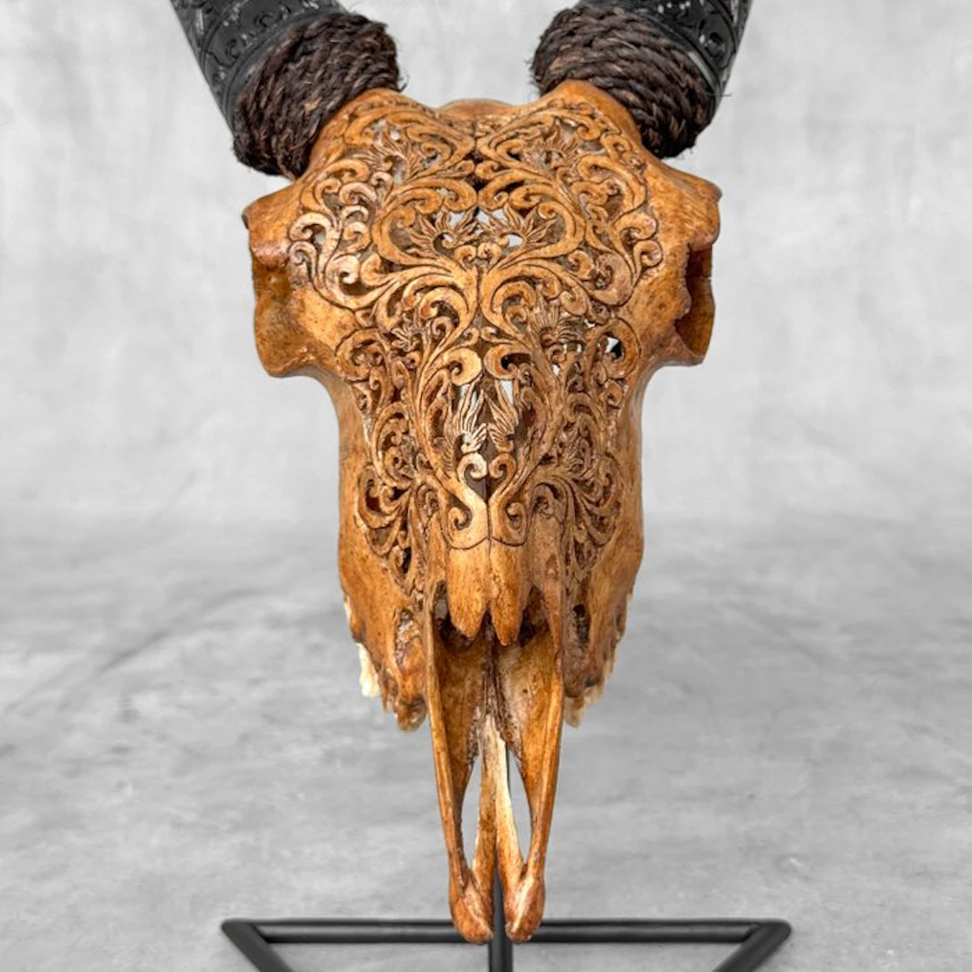 NO RESERVE PRICE - Authentic Brown Hand Carved Goat Skull...