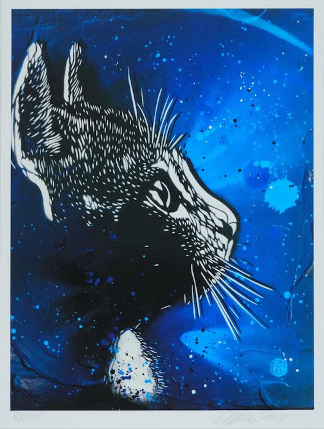 C215 (1973) - Félix