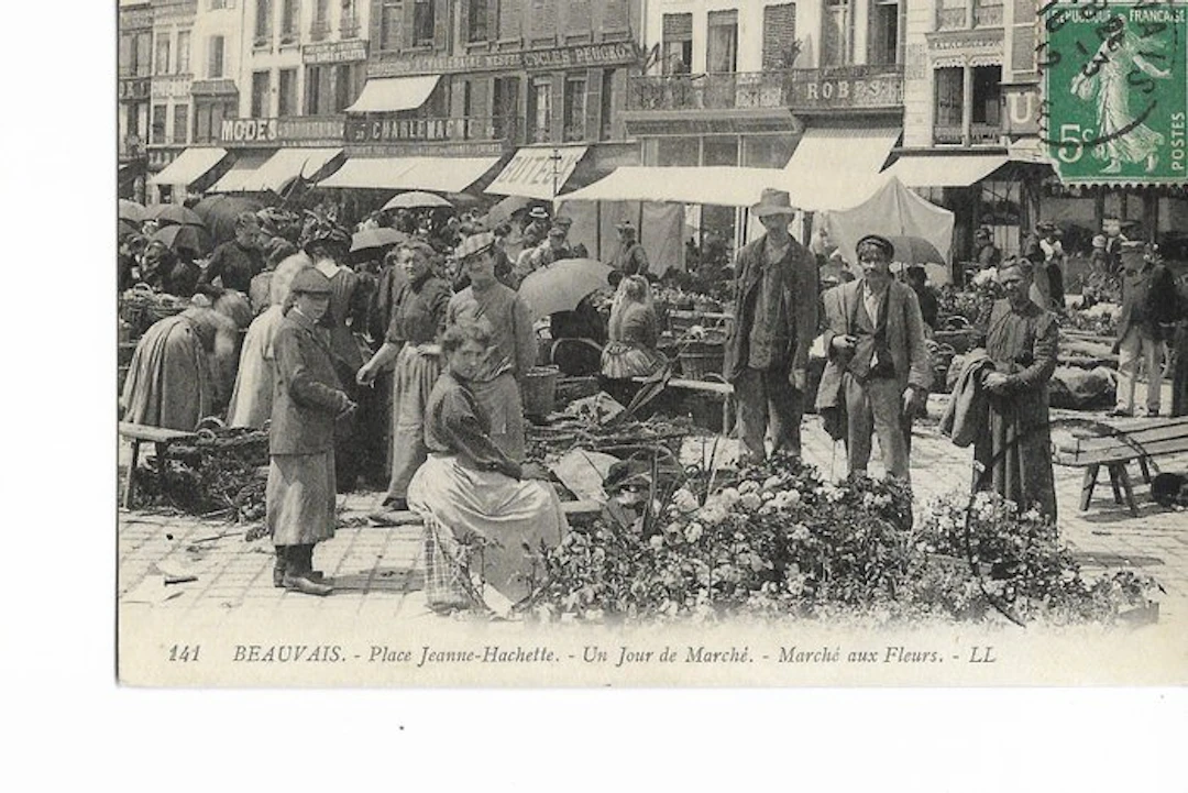 France - Miscellaneous - Lot of 36 antique postcards...