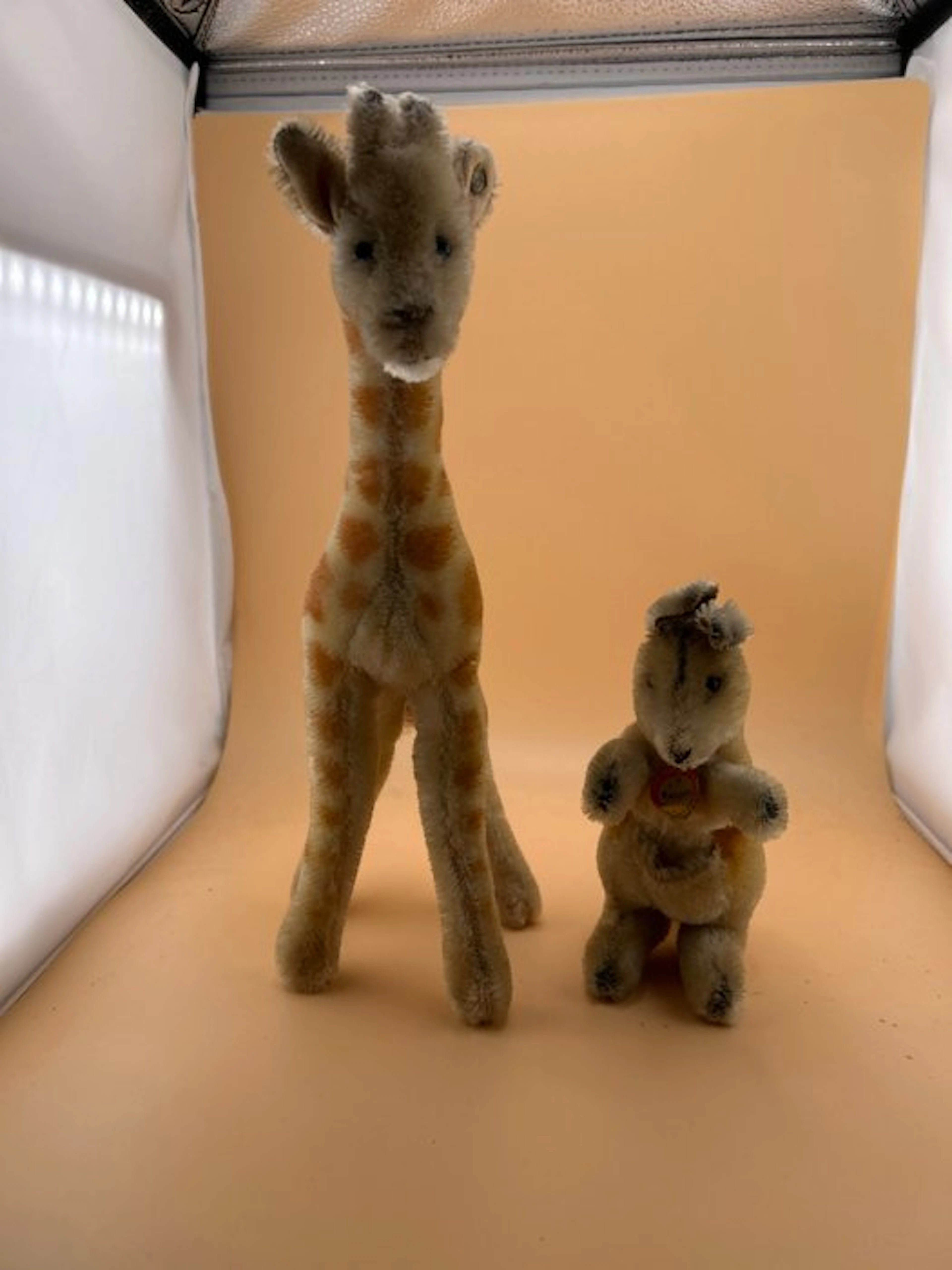 Steiff - Plush toy Känguru und Giraffe - 1960-1970