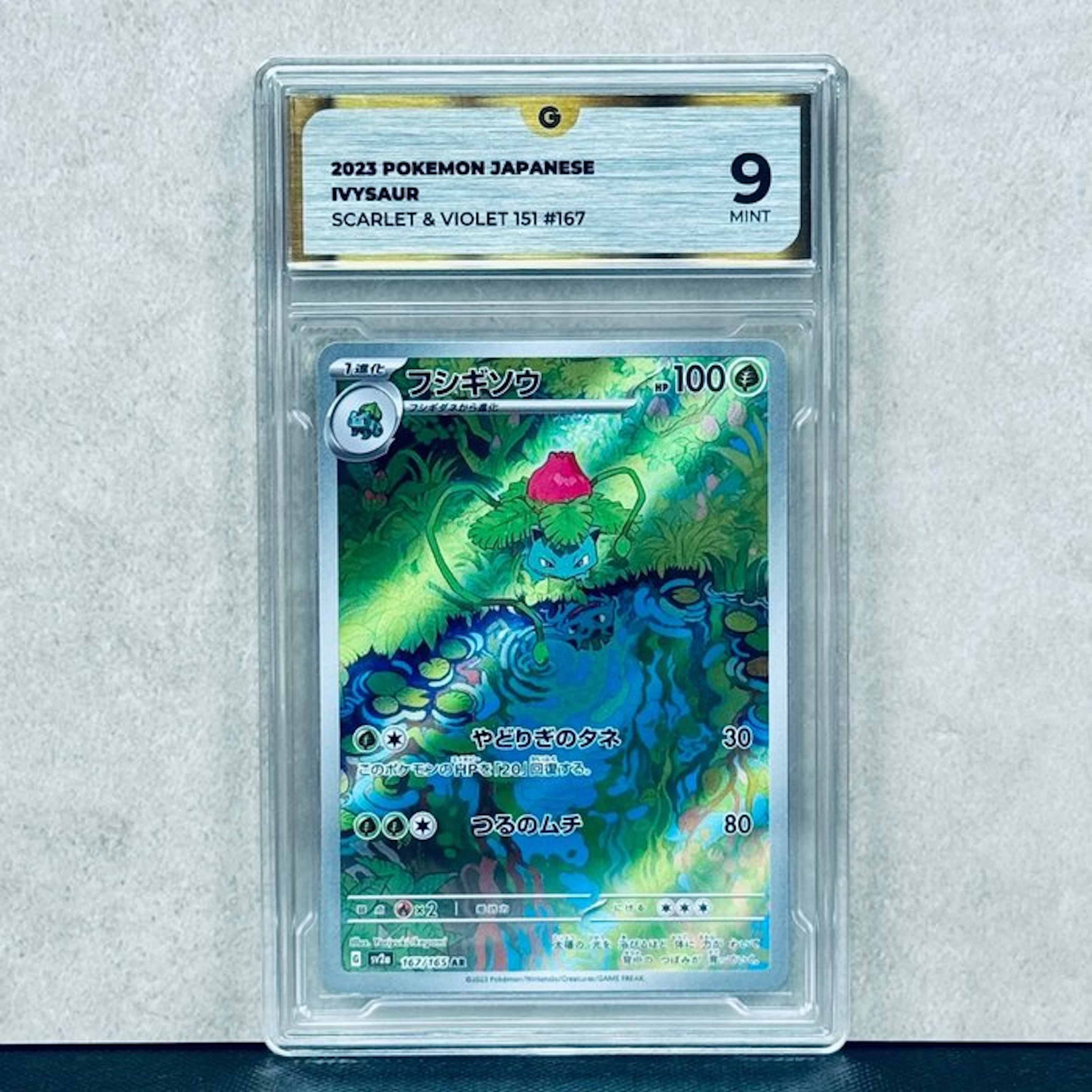 Pokémon Graded card - Ivysaur #167 2023 Pokemon Japanese...