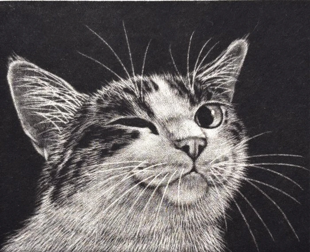 Limited Cat series "Wink" - signed numbered by the artist...
