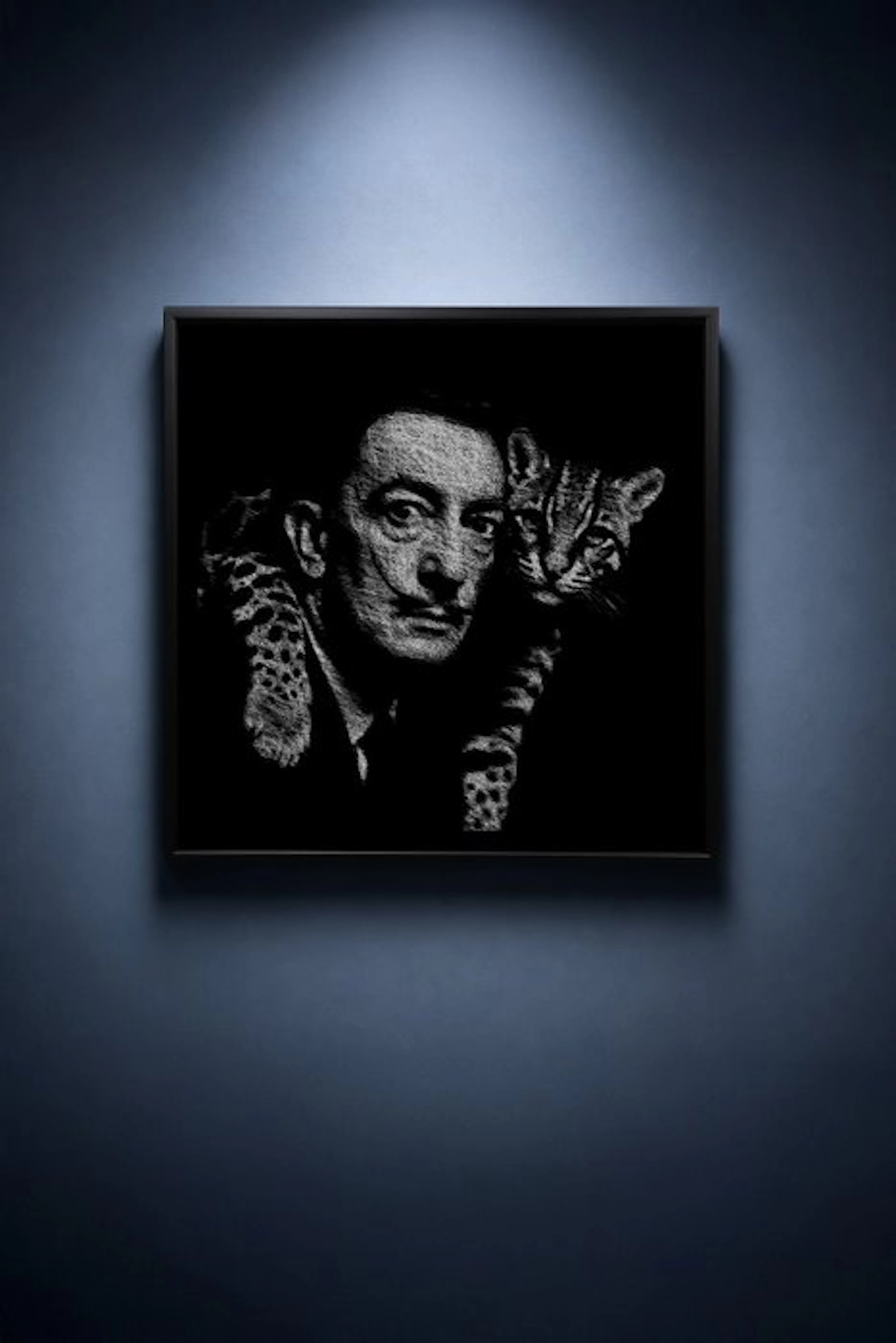 Tijs Dragtsma (1992) - Dalí Scratched From Darkness