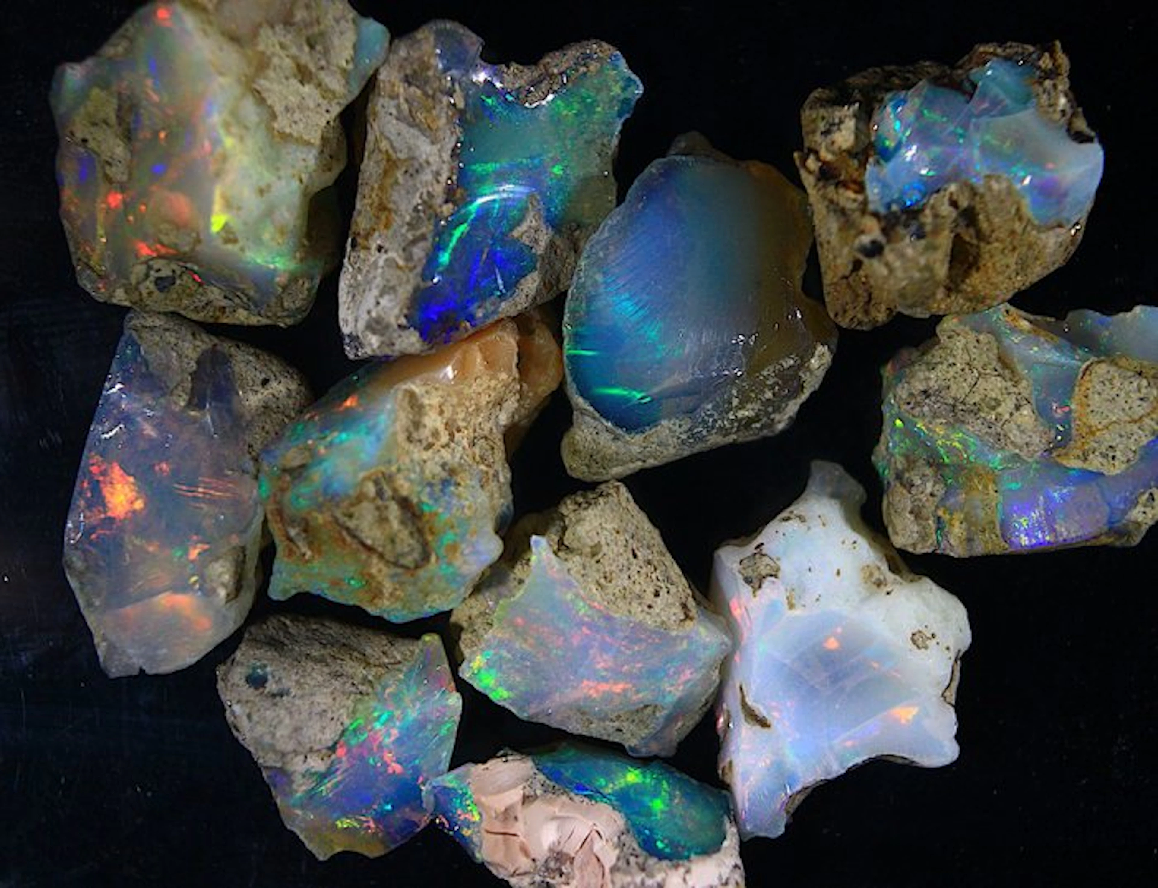 No Reserve - 83.0 ct. Top Color Ethiopian Opal - Rough Collection- 16.6 g