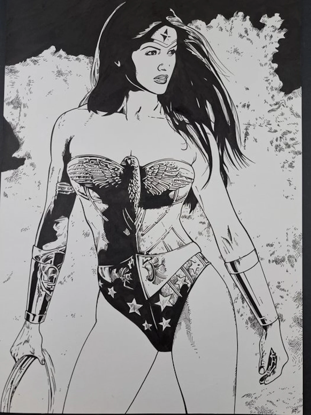 GRP - 1 Original drawing - Wonder Woman - 2014
