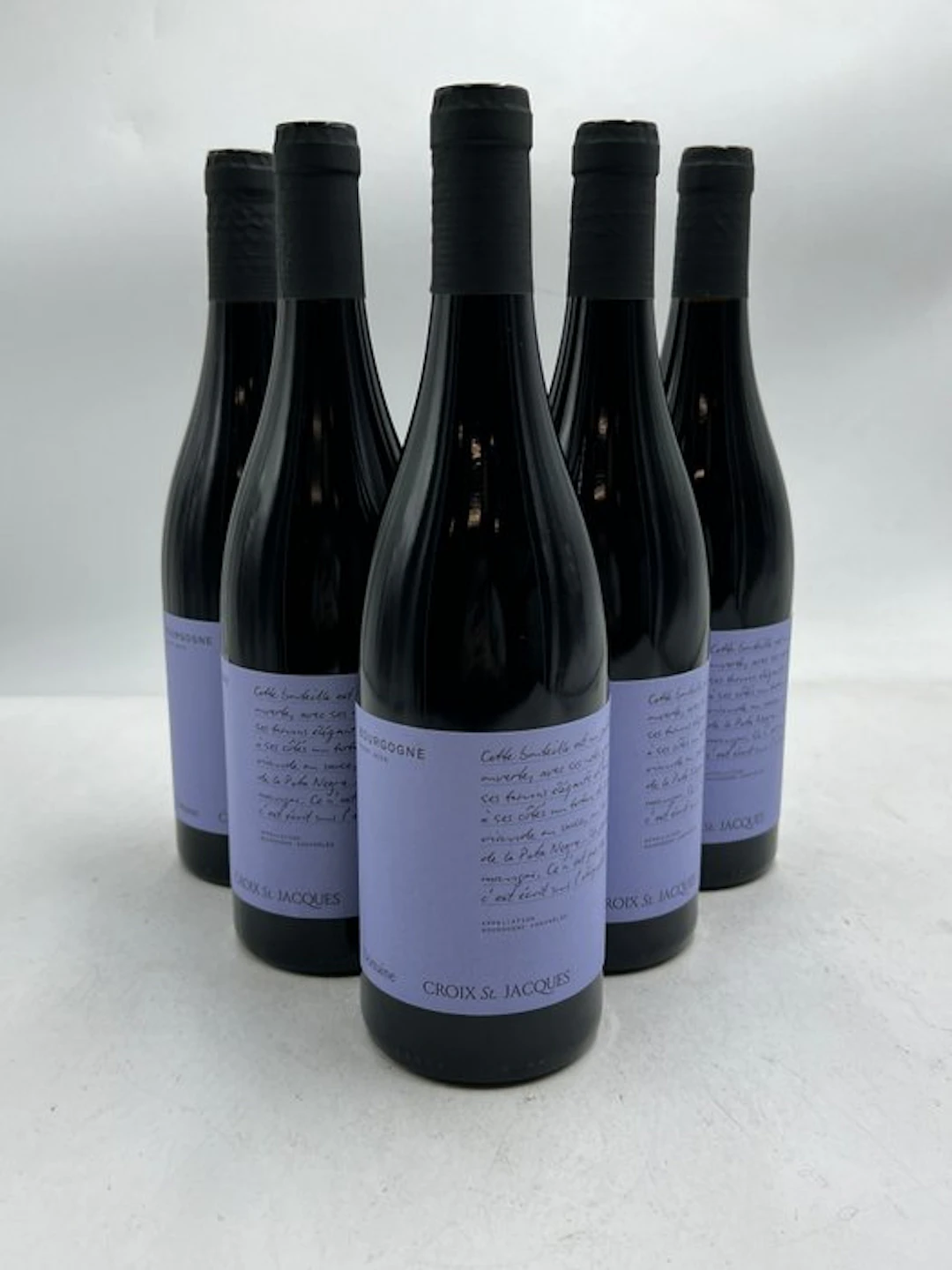 2022 Domaine Croix Saint Jacques Bourgogne red - Burgundy - 6 Bottles (0.75L)
