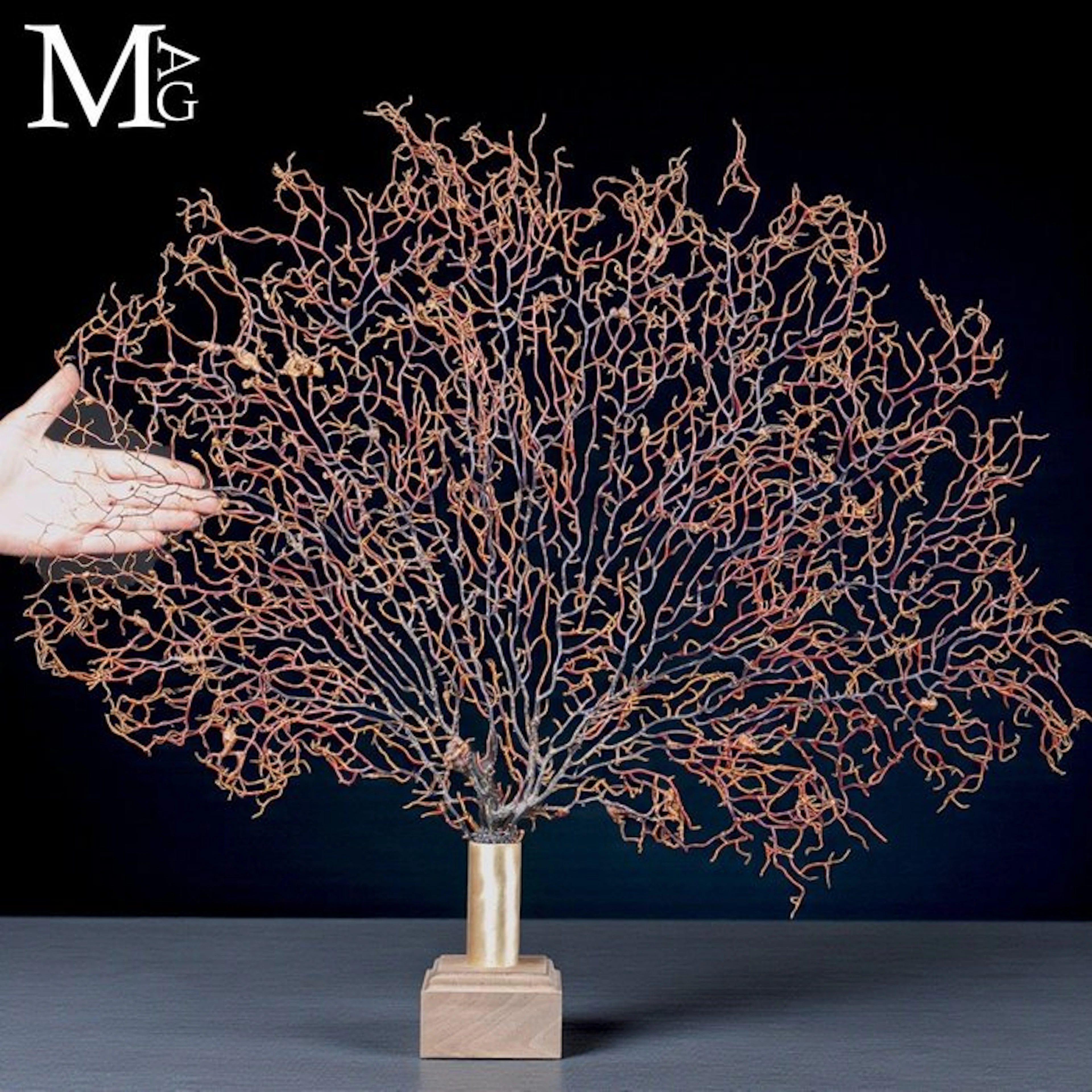 Intricate Large Gorgonian Sea Fan Fan-Shaped Natural...