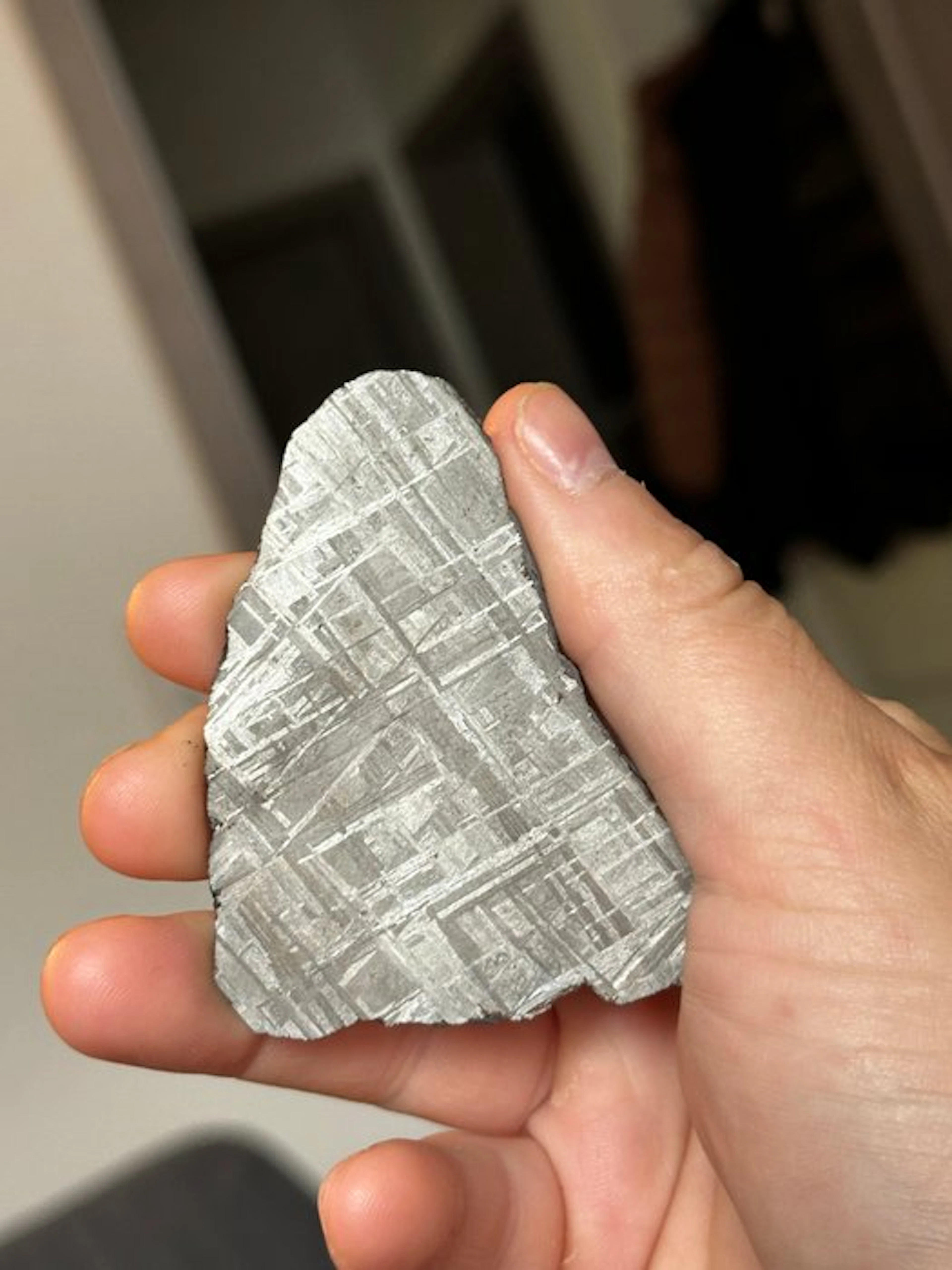 NO RESERVE Muonionalusta - iron meteorite - complete...