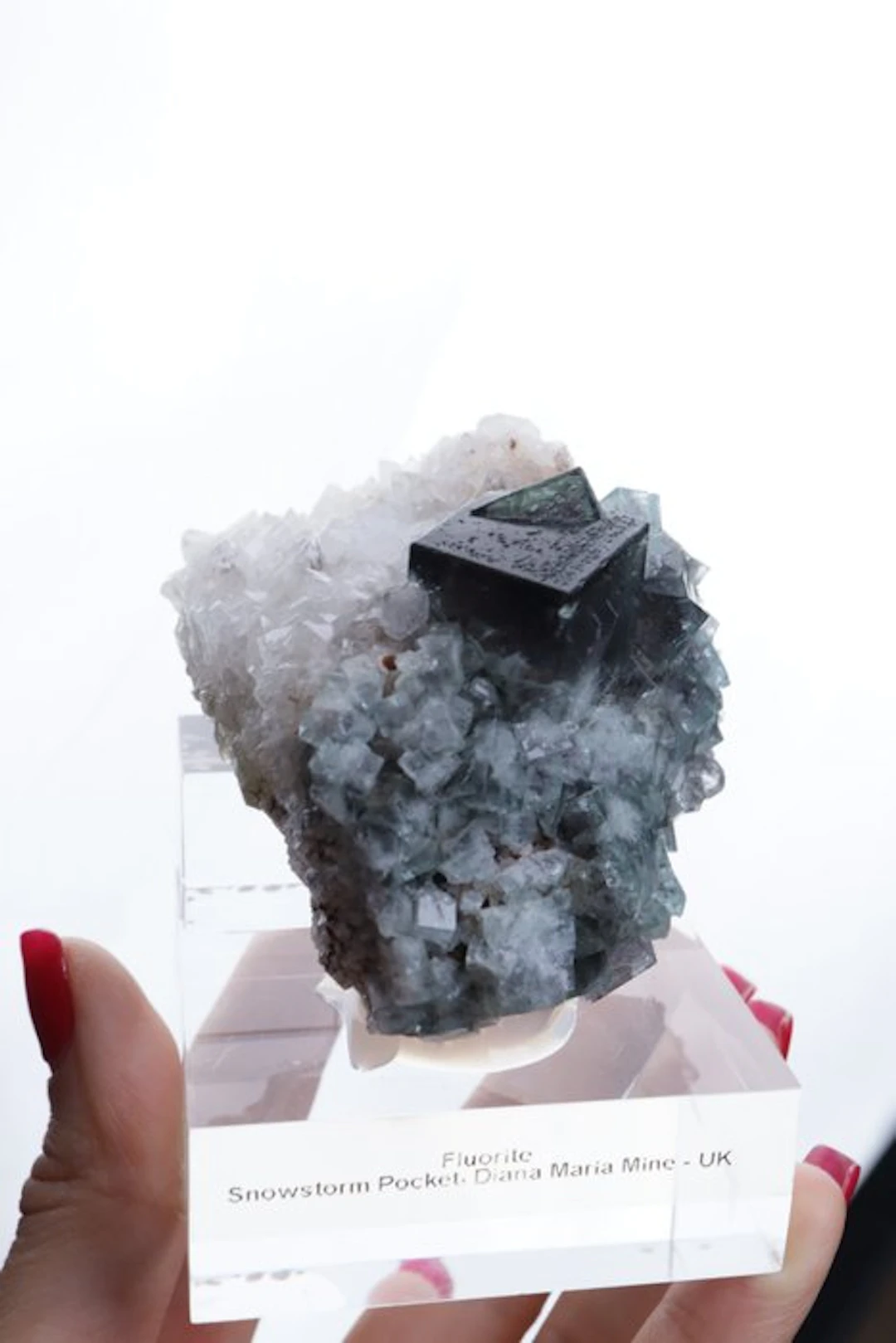 (Museum-quality) Fluorite Twin with Quartz UK Mineral...