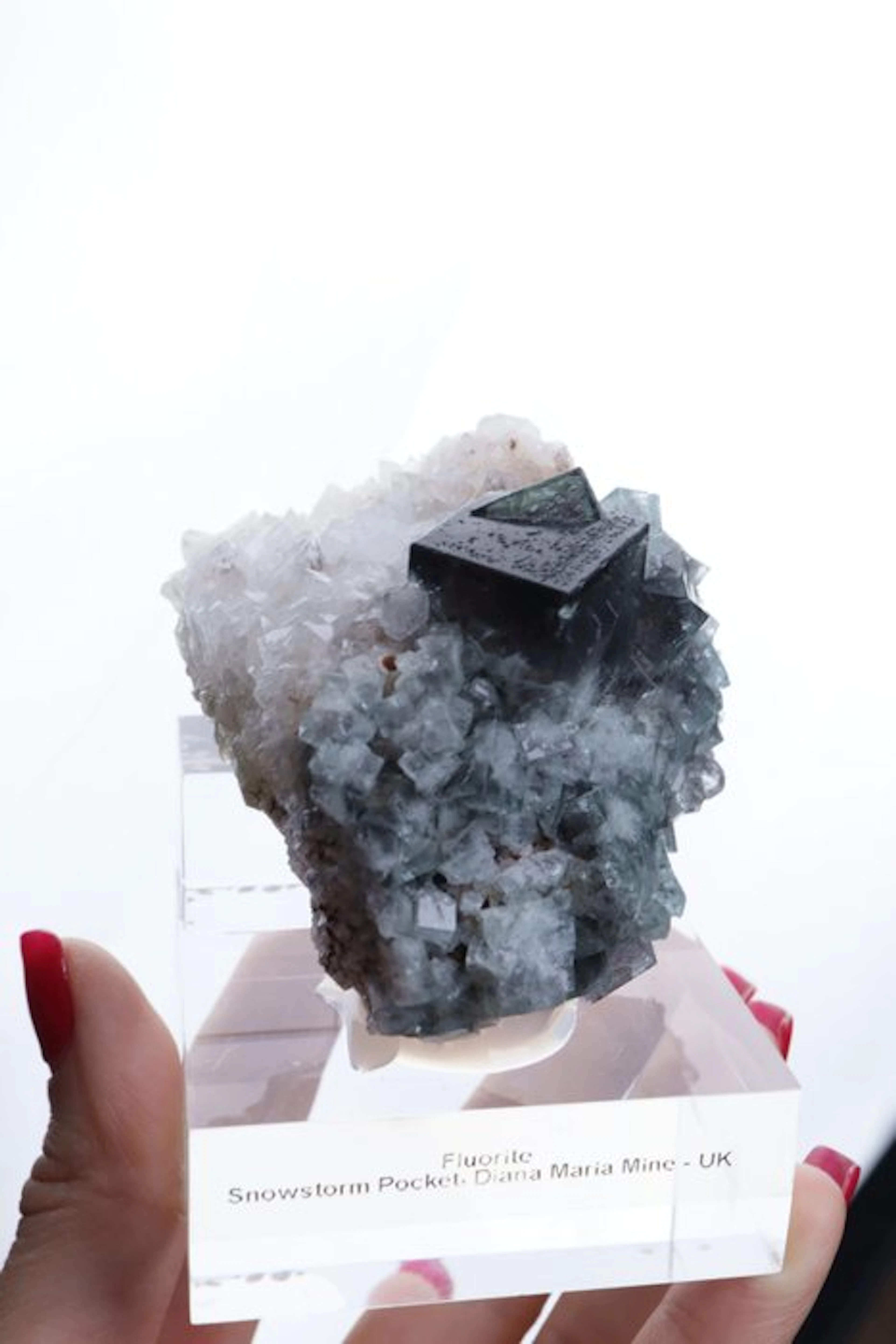 (Museum-quality) Fluorite Twin with Quartz UK Mineral...