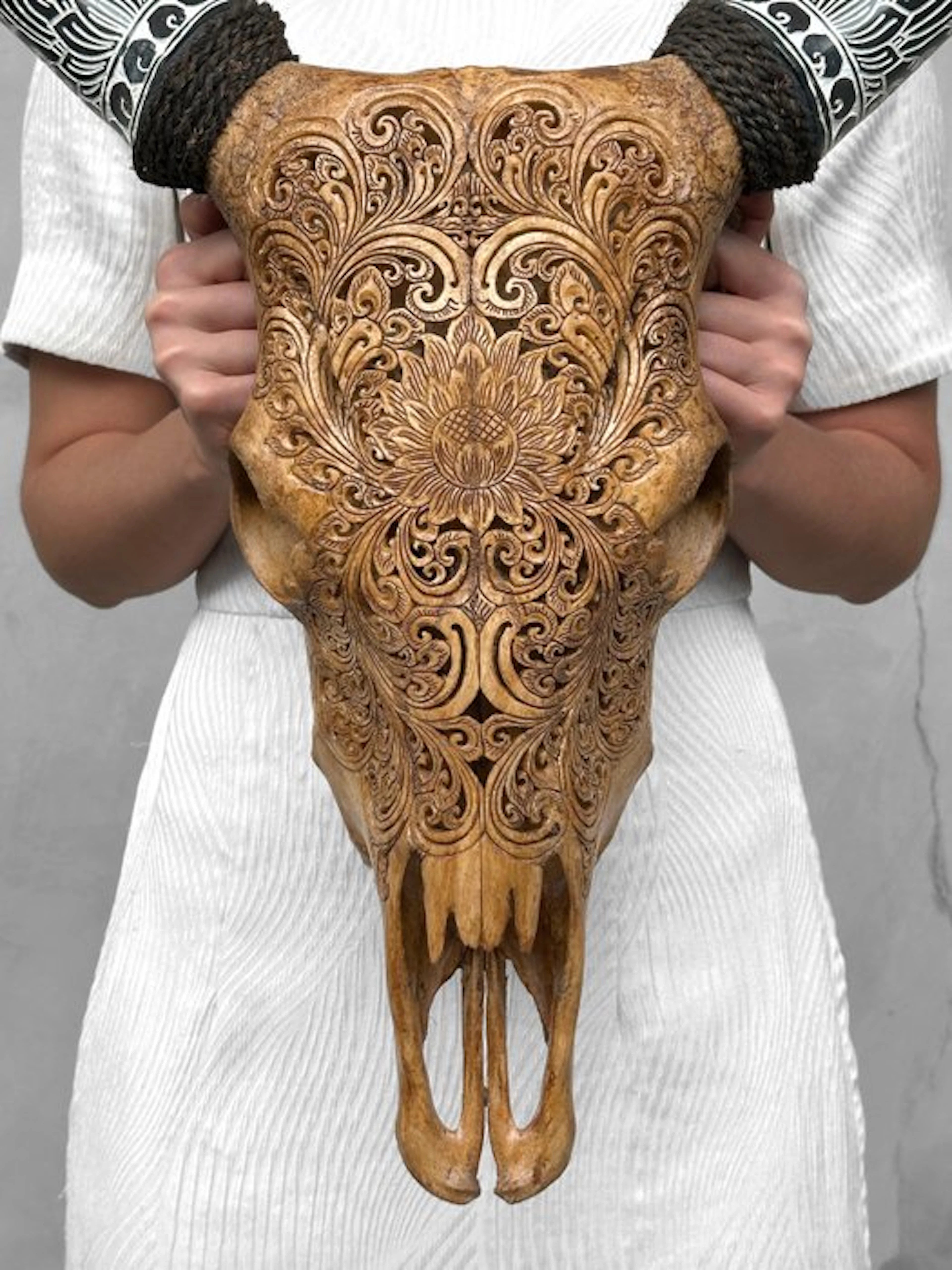 NO RESERVE PRICE - Authentic Brown Cow Skull with...