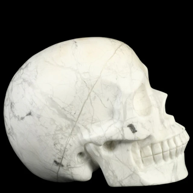 747g Howlite skull – ghost warrior