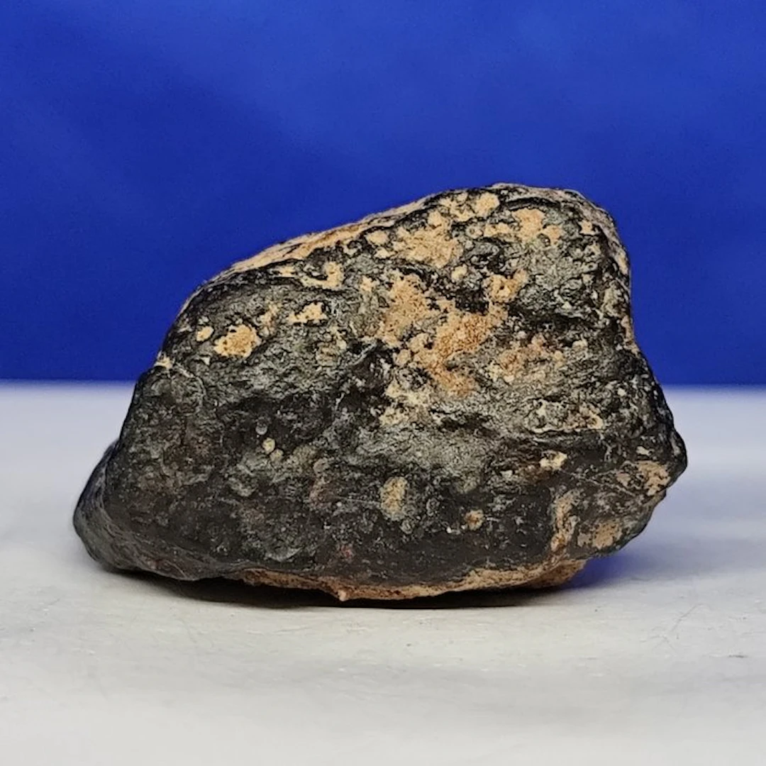 CV3, CARBONACEOUS CHONDRITE METEORITE (Sahara