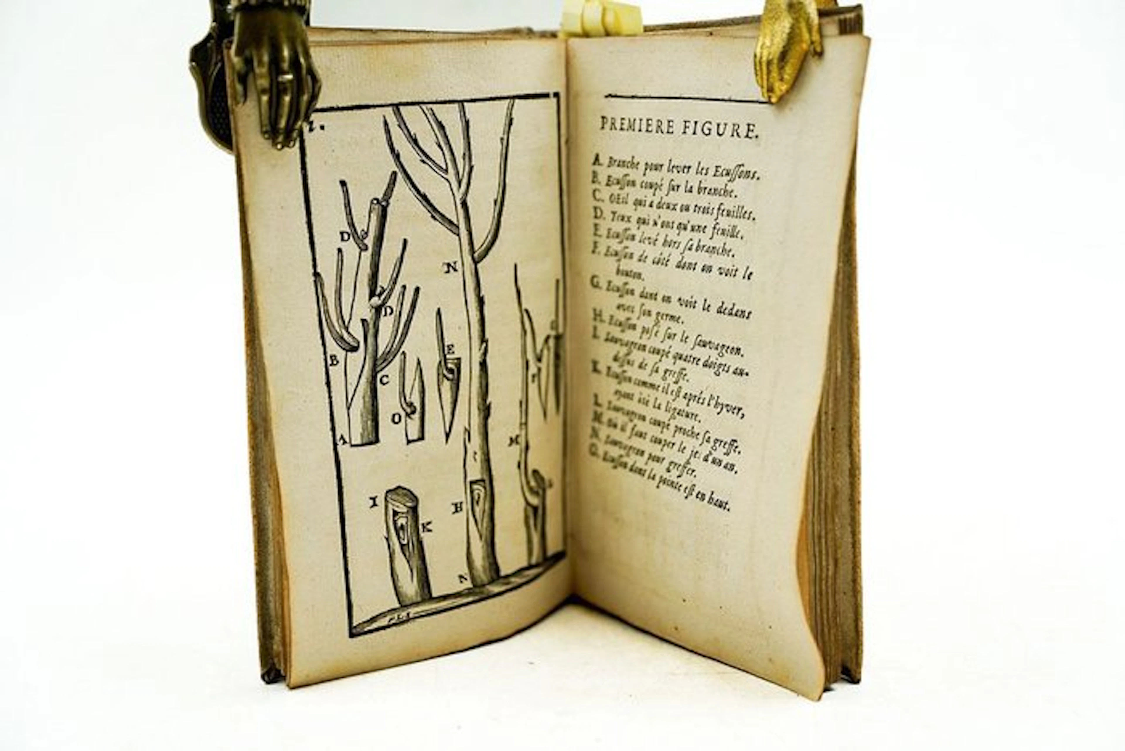 René Dahüron - Nouveau traité de la taille des arbres fruitiers - 1696