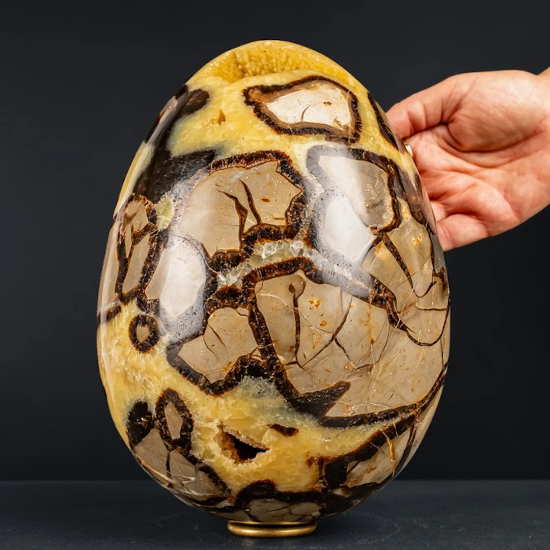 Fascinating septarian egg – The magic of primeval forms and colors- 9001.12 g