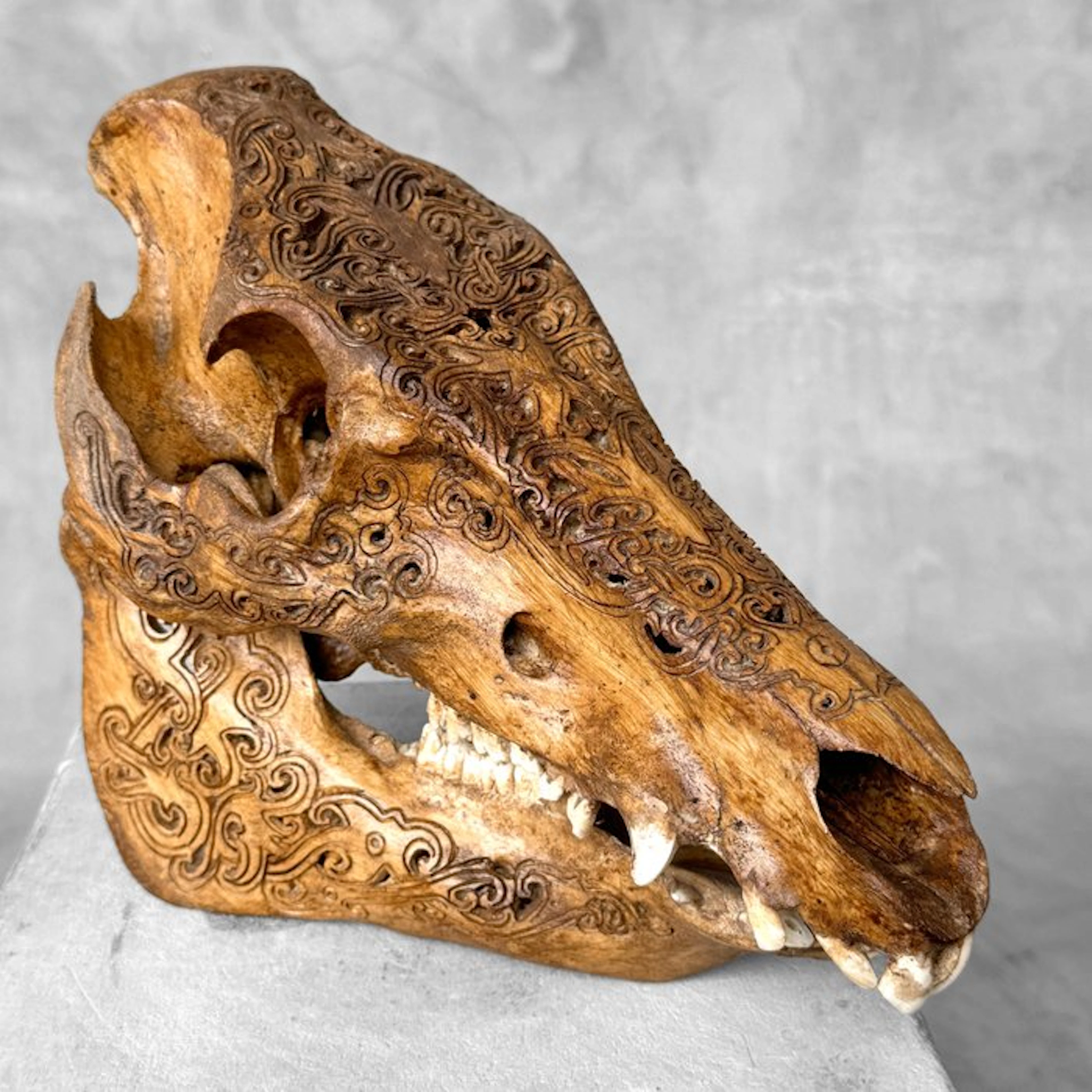 NO RESERVE PRICE -Stunning Hand-Carved Wild Boar Skull...
