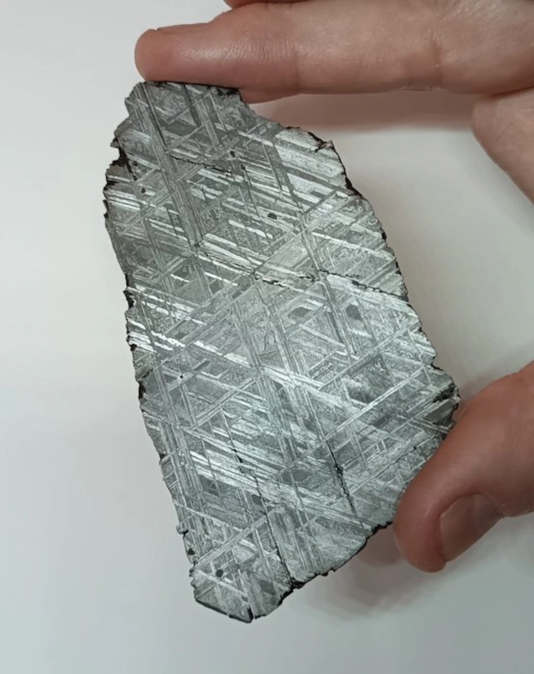 MUONIONALUSTA. Summer expedition 2023 Beautiful polished slice!!! - 45.17 g