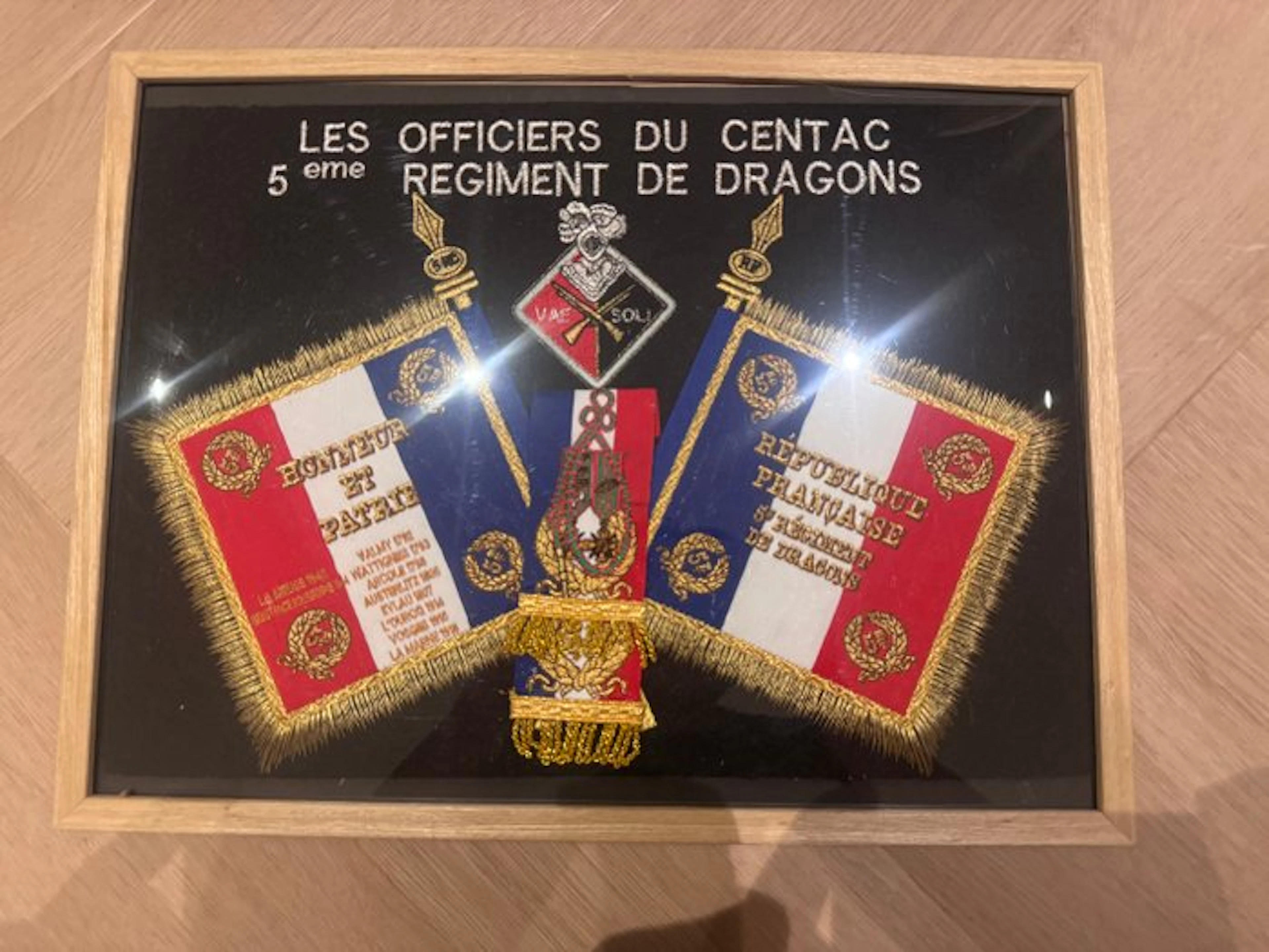 France - Flag - Framed Military Regimental Display –...
