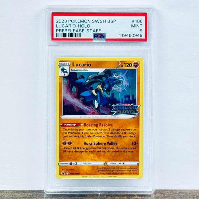 pokemon rc cards RAW CARD