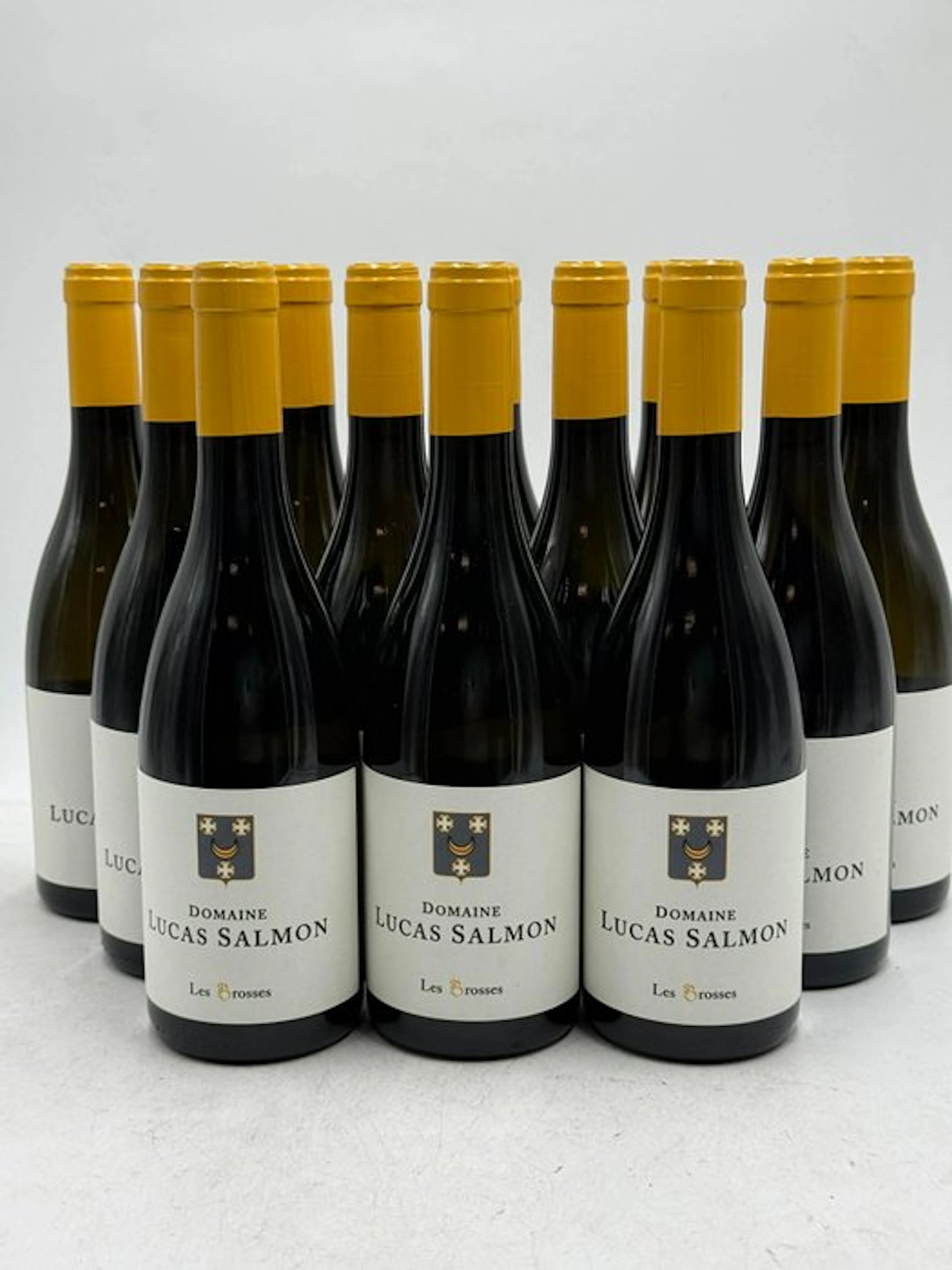 2024 Domaine Lucas Salmon Les Brosses Muscadet - Loire - 12 Bottle (0.75L)
