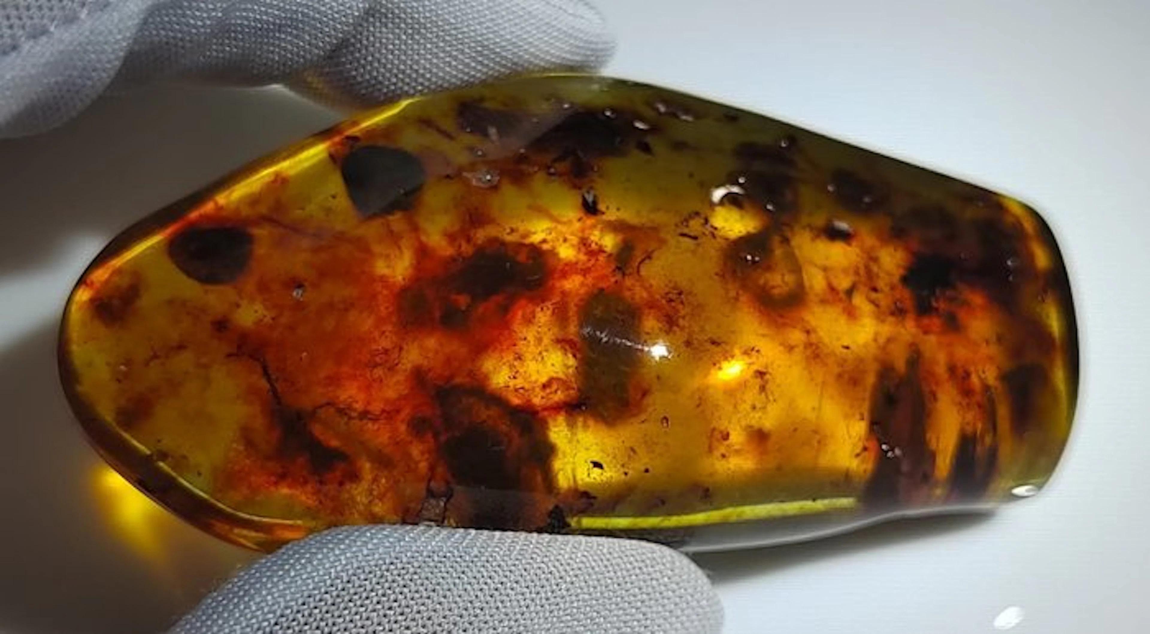 FOSSlL-AMAZING!! Dominican amber- No Reserve Price- 22.81 g