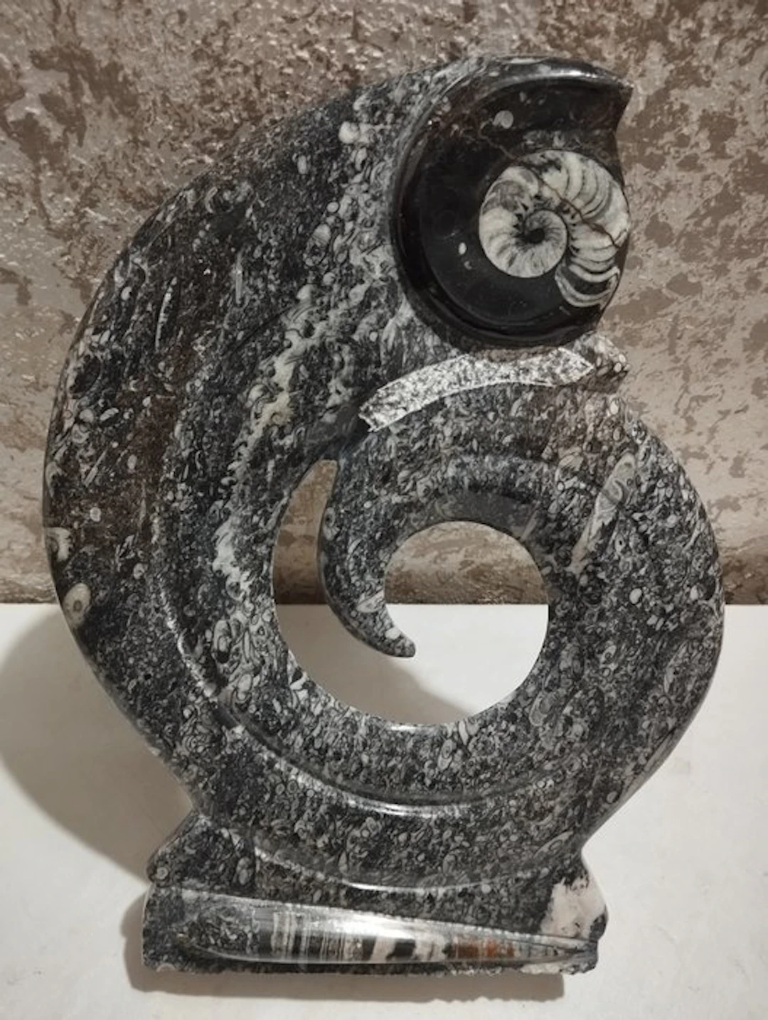 Fossilised animal - 40 cm - 27 cm