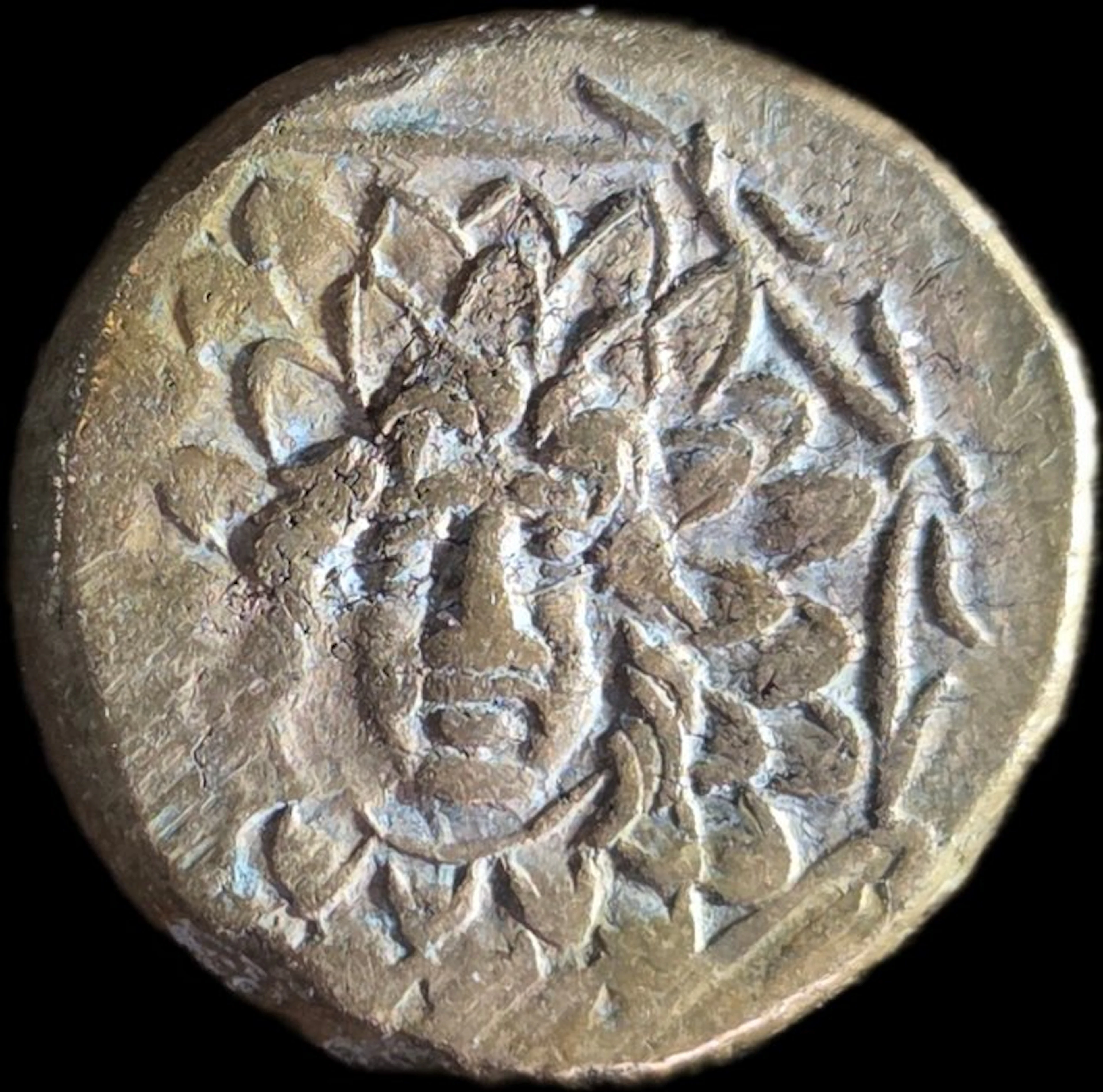 Pontus, Amisos. Mithradates VI (120-63 BC). Æ - Gorgoneion (No reserve price)