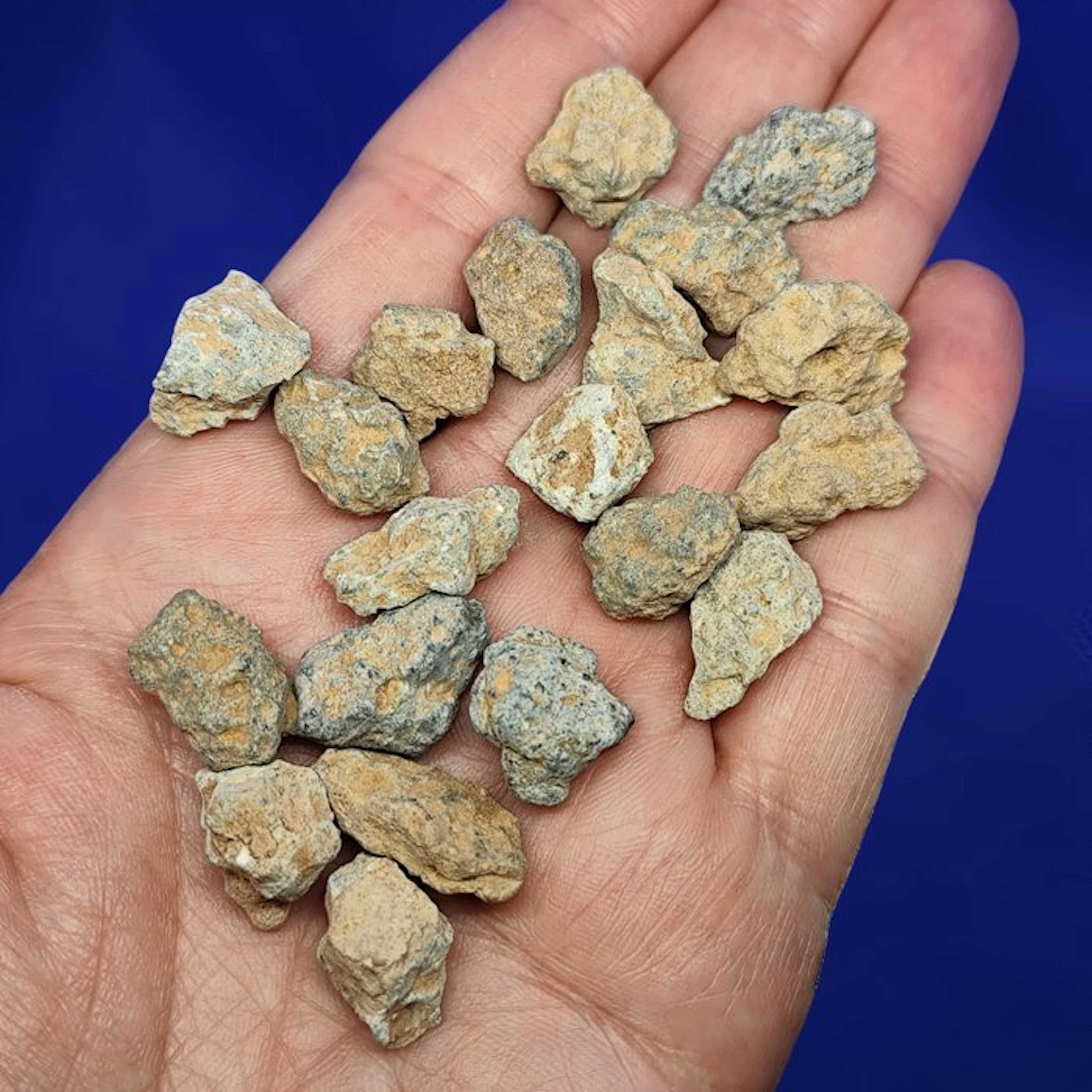 20 authentic Moon meteorites