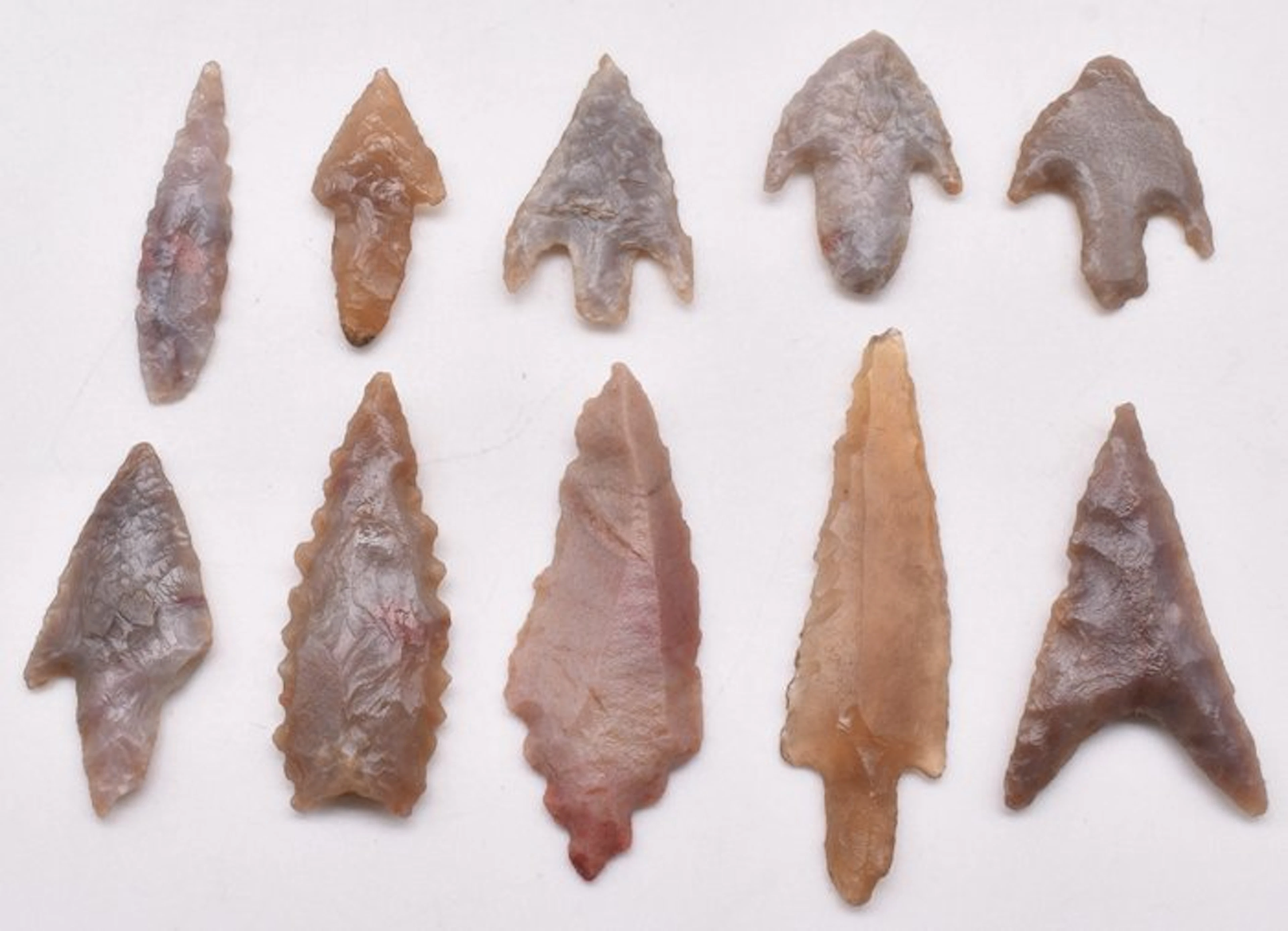 Neolithic Jasper, Flint 10 Arrowheads AA++ 2.3 to 5 cm (No reserve price)