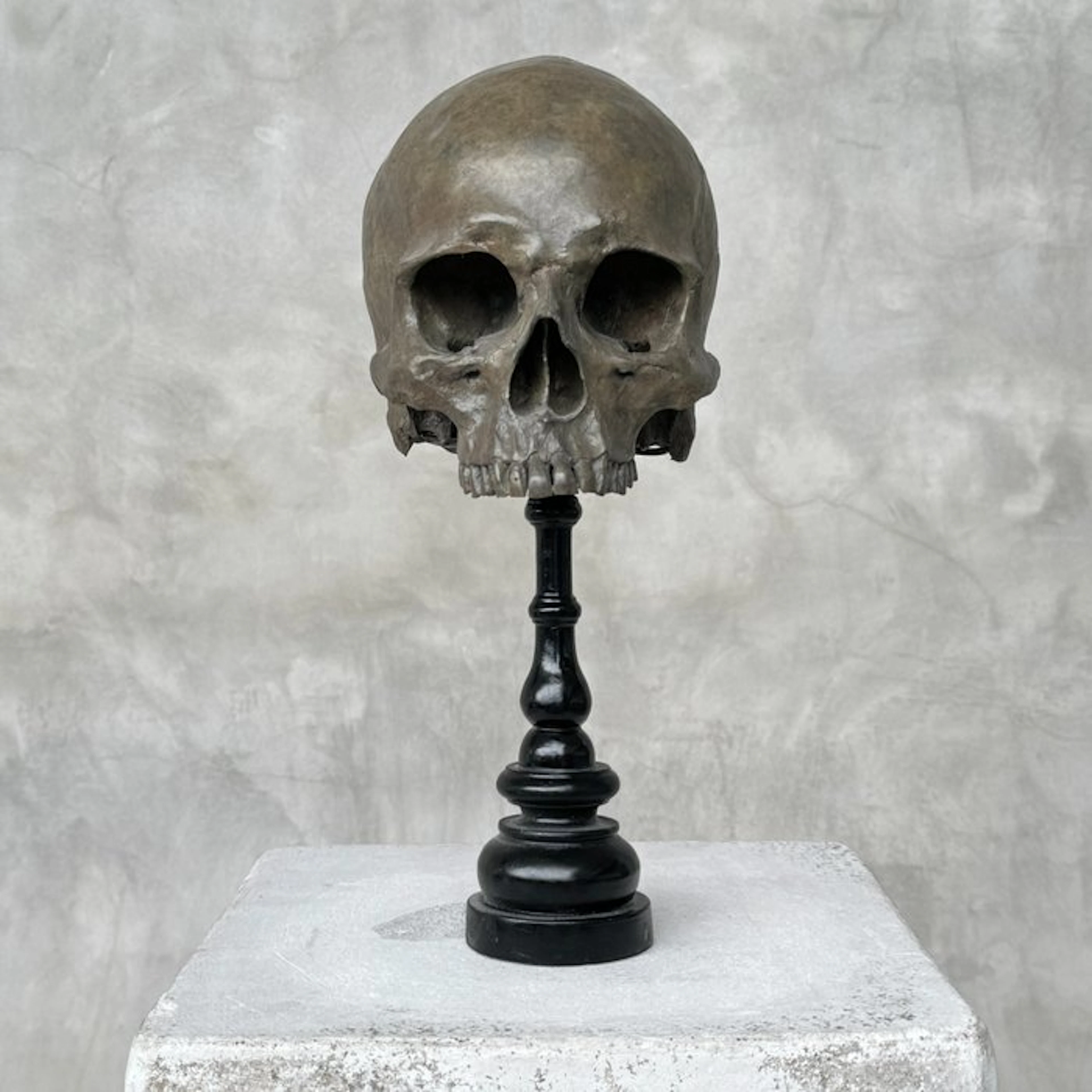 Statue, NO RESERVE PRICE - Stunning human skull no jaw...