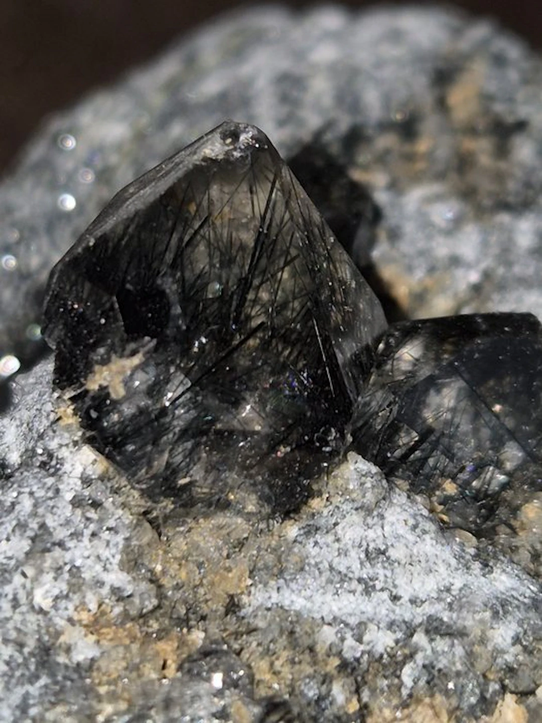 Riebeckite Crystals on matrix - Height: 45 mm - Width: 61 mm- 190 g - (1)