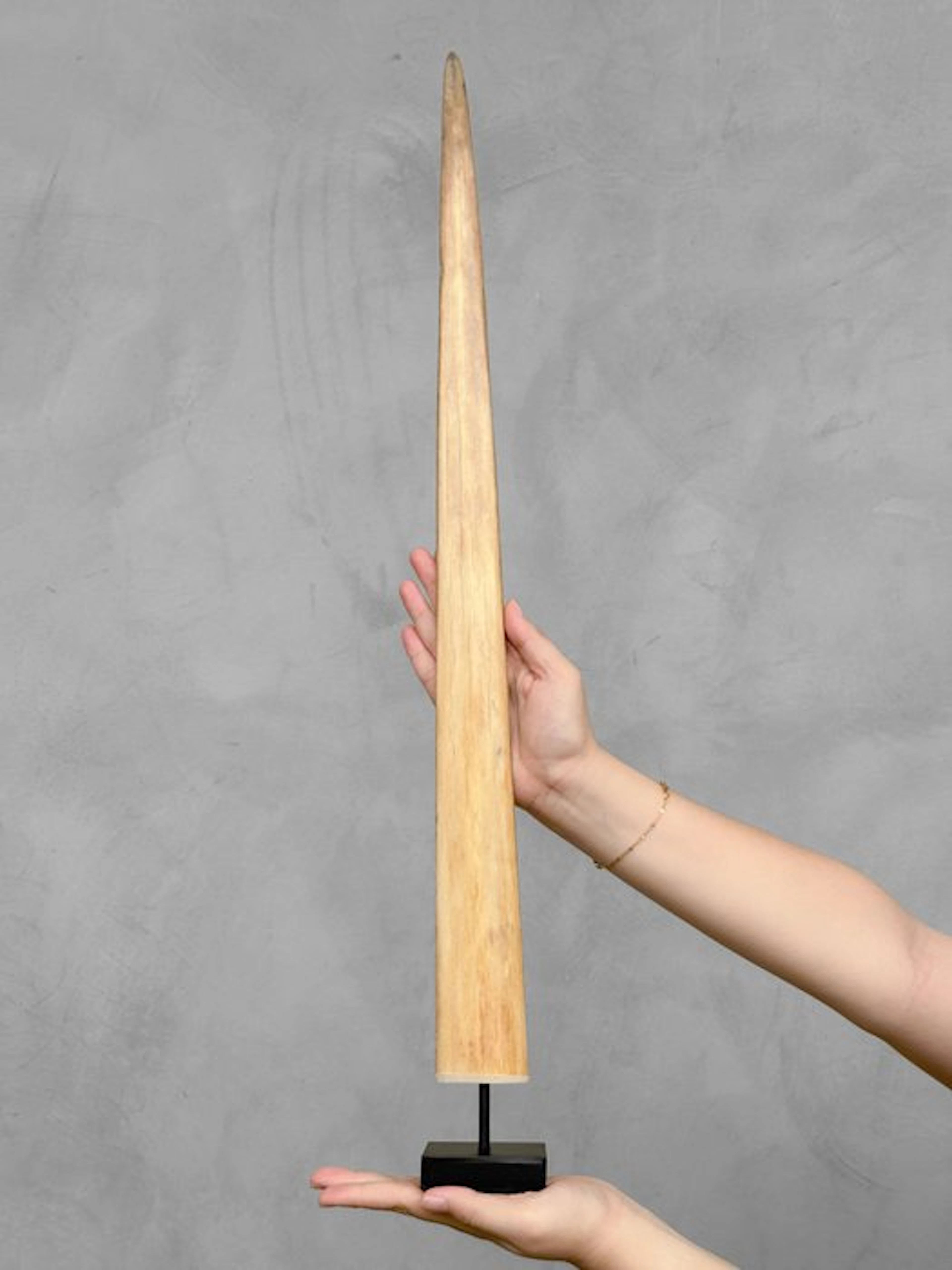 NO RESERVE PRICE - Stunning Large Swordfish Rostrum...