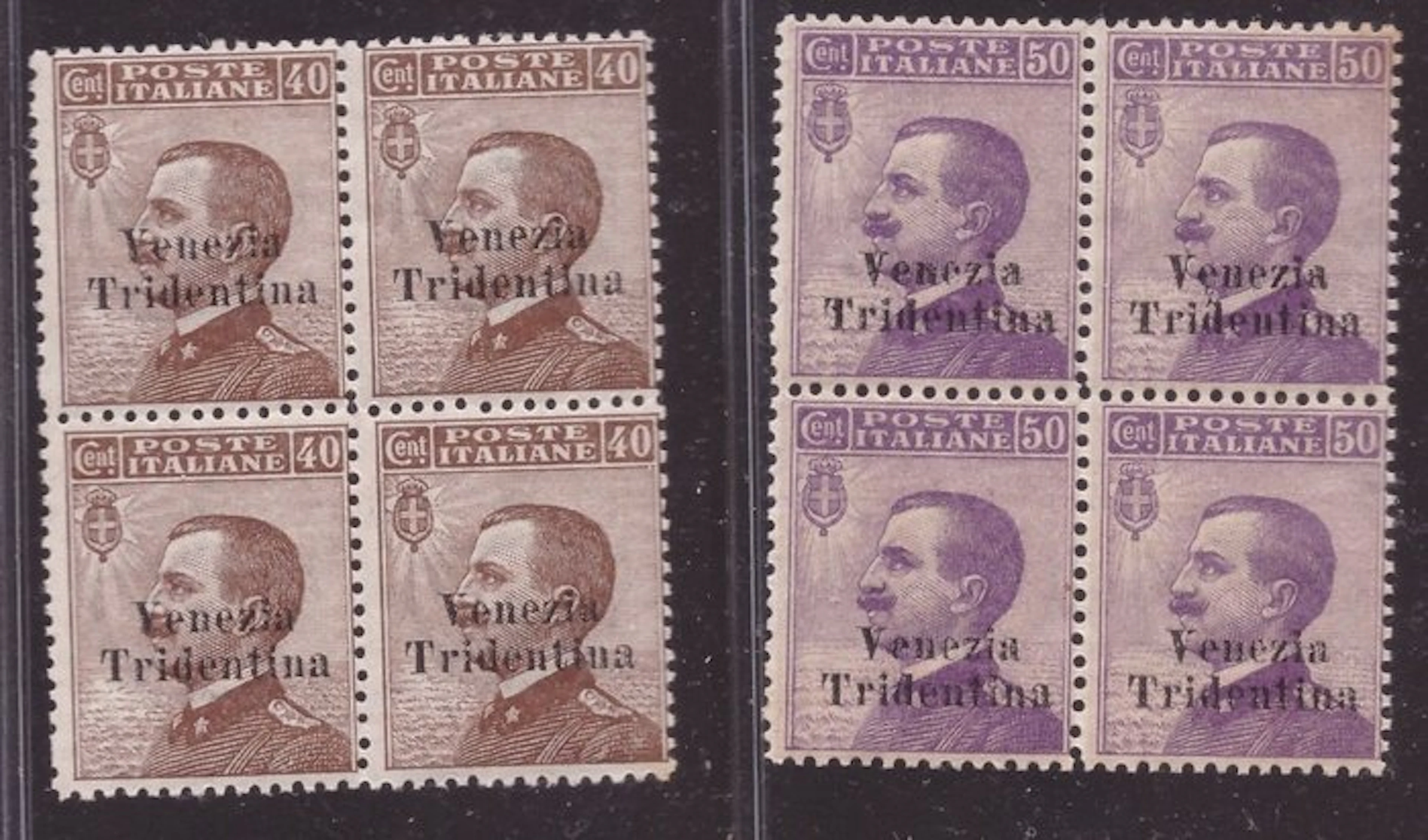 Italy - Trentino 1918 - Venezia Tridentina