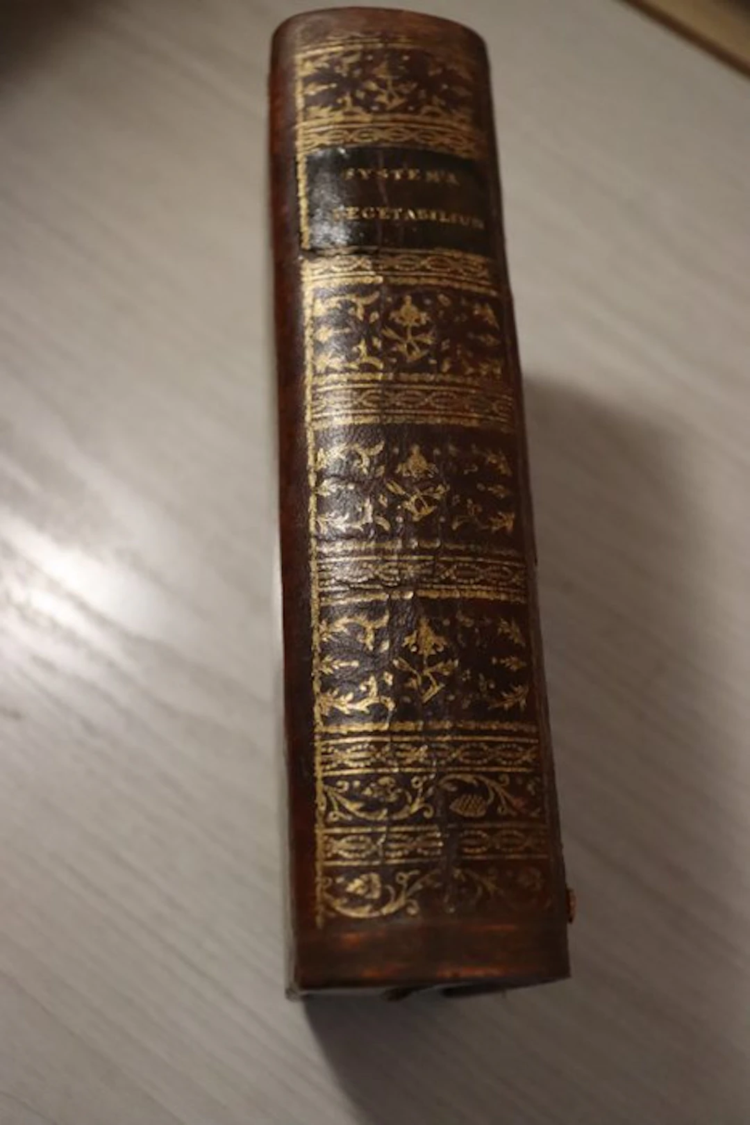 Carolus a Linne - Systema Vegetabilium - 1798