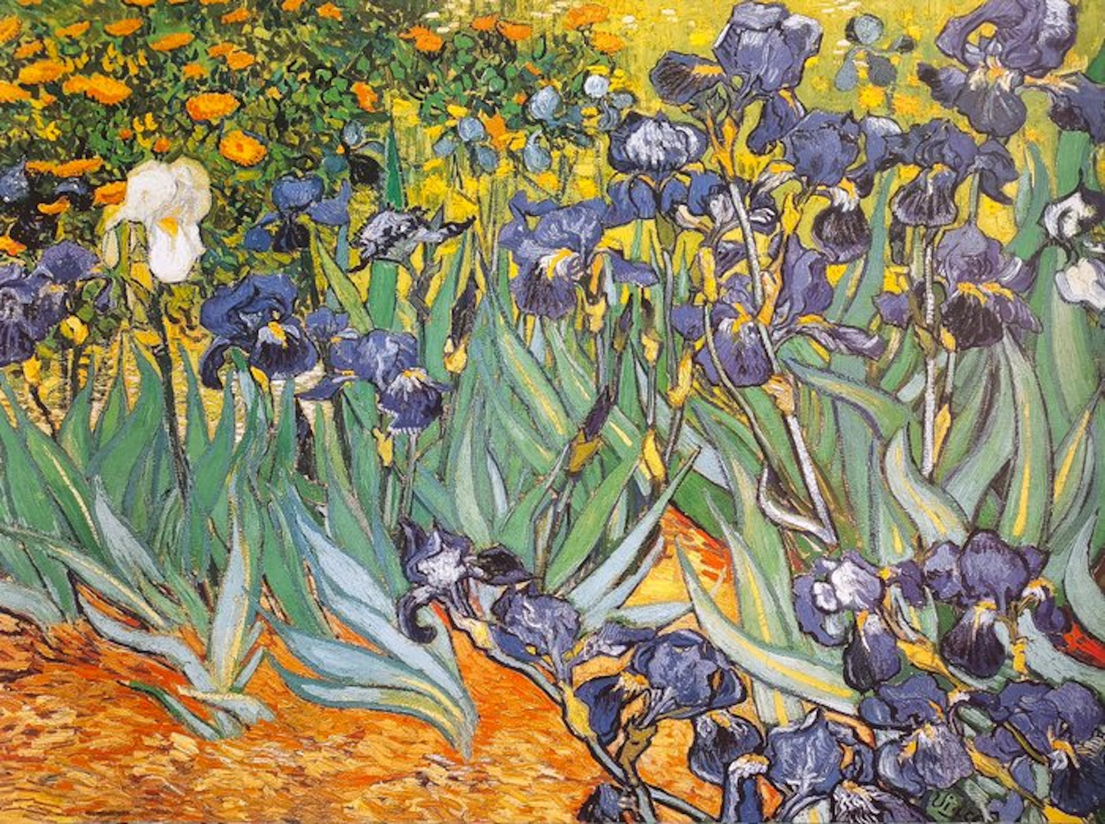 Vincent van Gogh (1853-1890) (after) - "Irises, 1889" - (60x80cm)