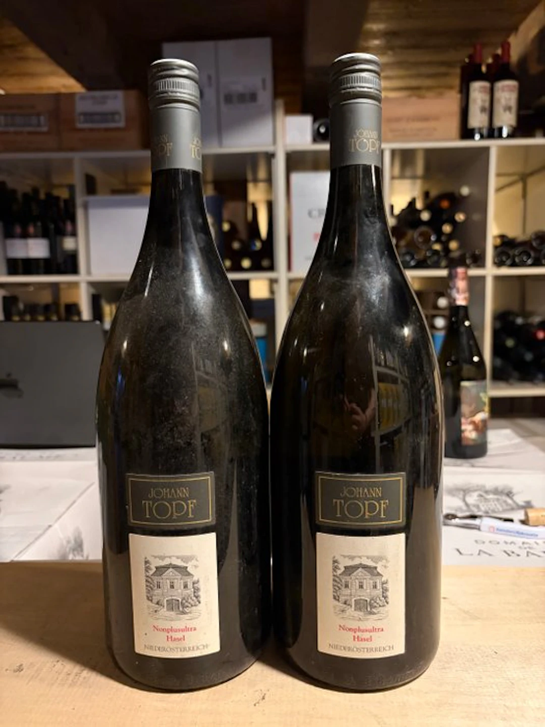 2009 Johann Topf, Sauvignon Blanc Hasel - Lower Austria - 2 Magnums (1.5L)