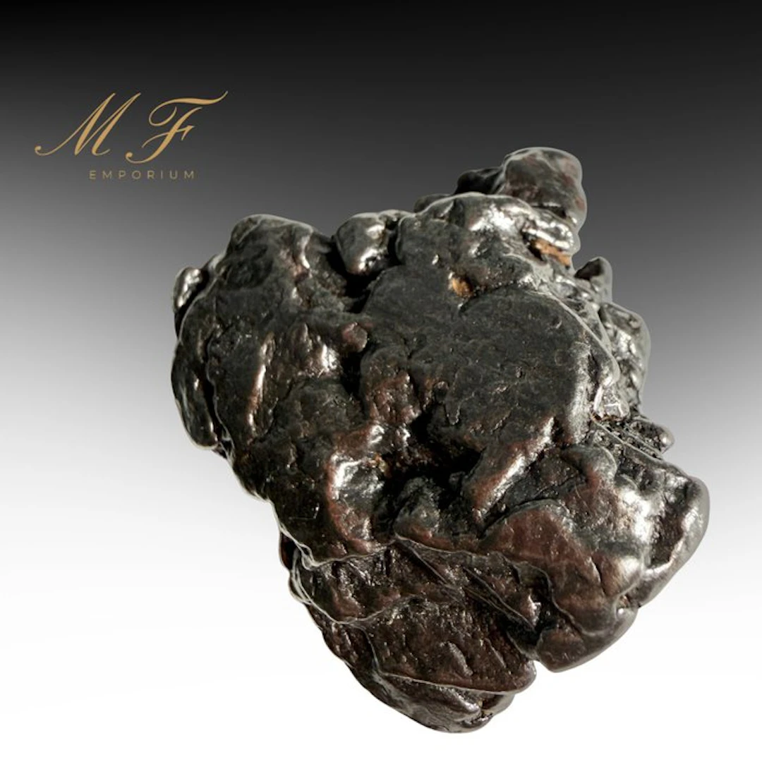 Campo del Cielo Meteorite – Exceptional Specimen Specimen...