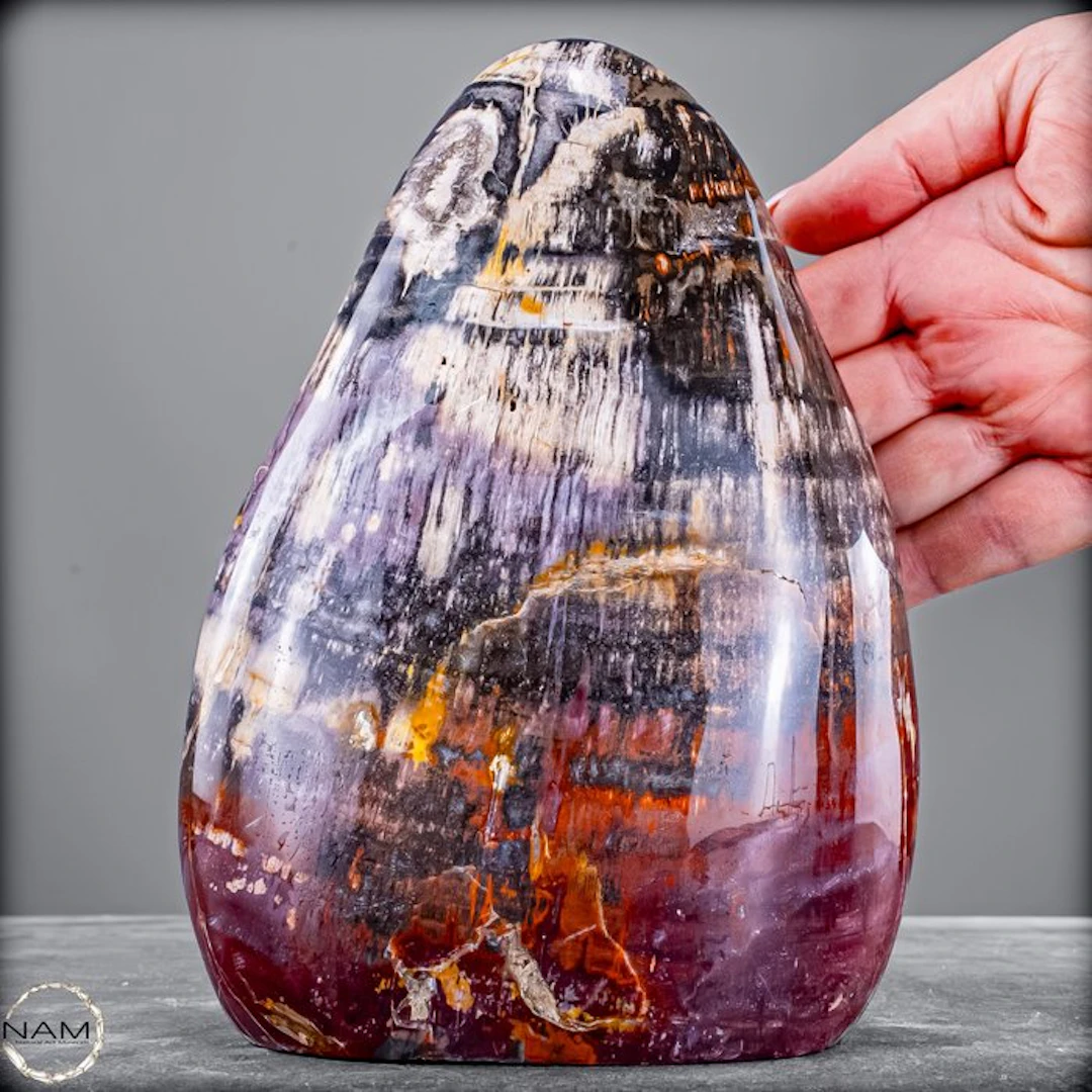 Very rare petrified wood freeform with agate-quartz druzy...