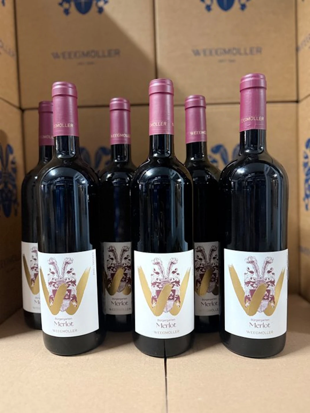 2022 Weingut Weegmüller - Merlot Bürgergarten - Pfalz - 6 Bottles (0.75L)