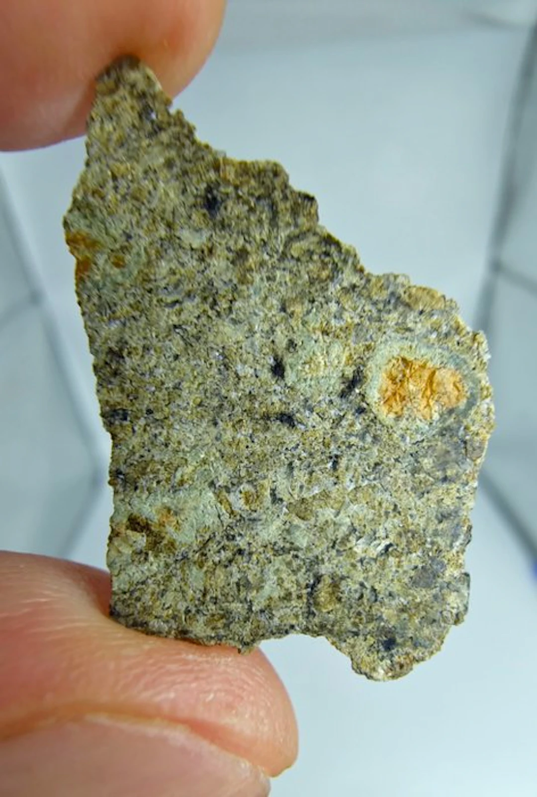 Martian Meteorite (shergottite