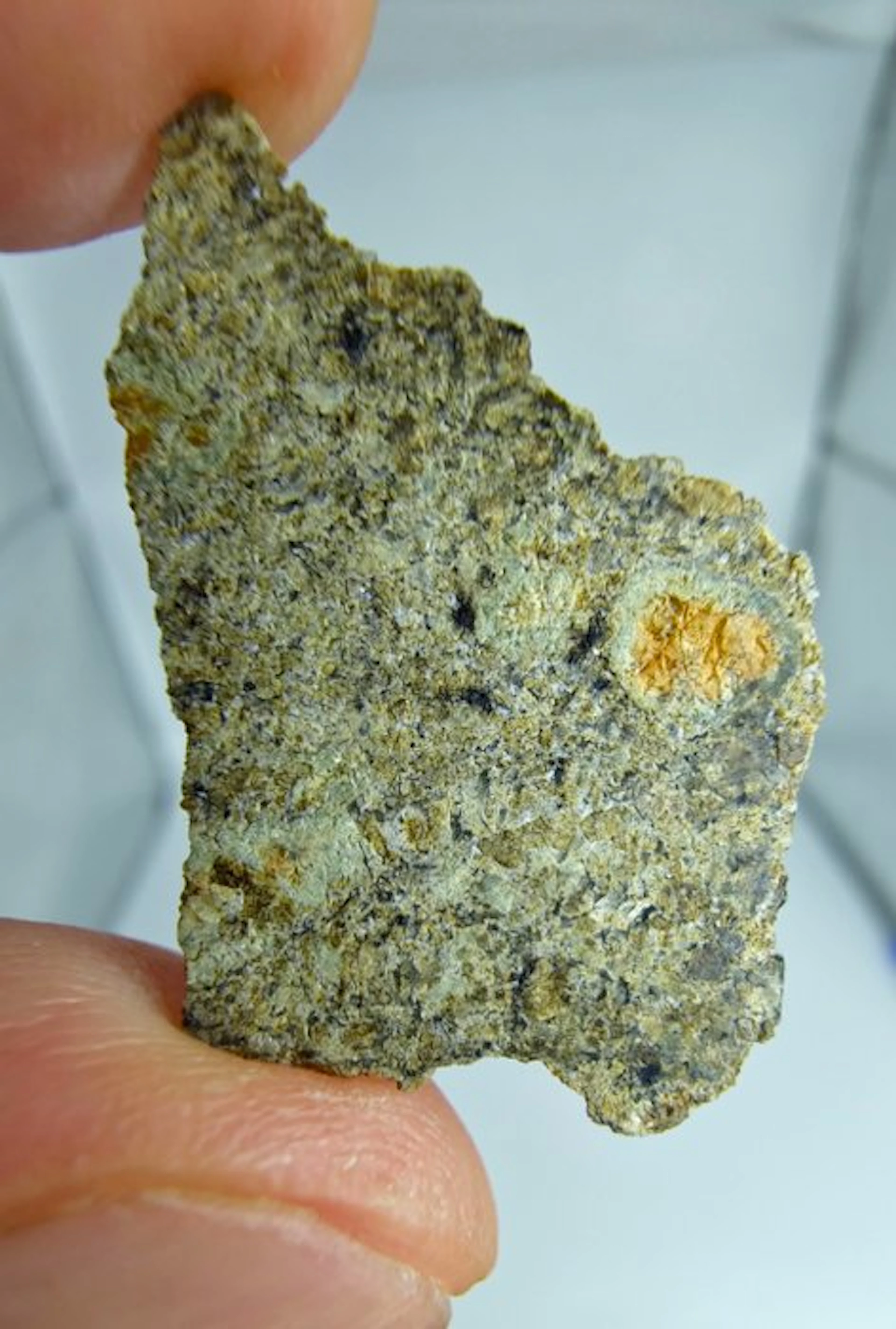 Martian Meteorite (shergottite
