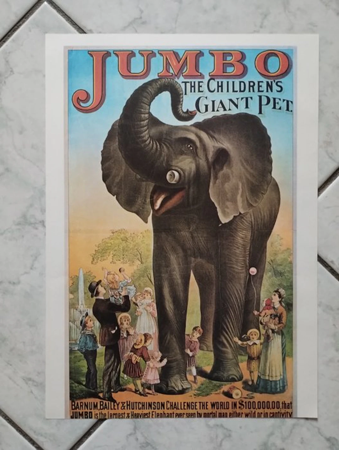 Anonymous - Lotto 8 Fogli Fronte/Retro Circo Storico Vintage - 1970s