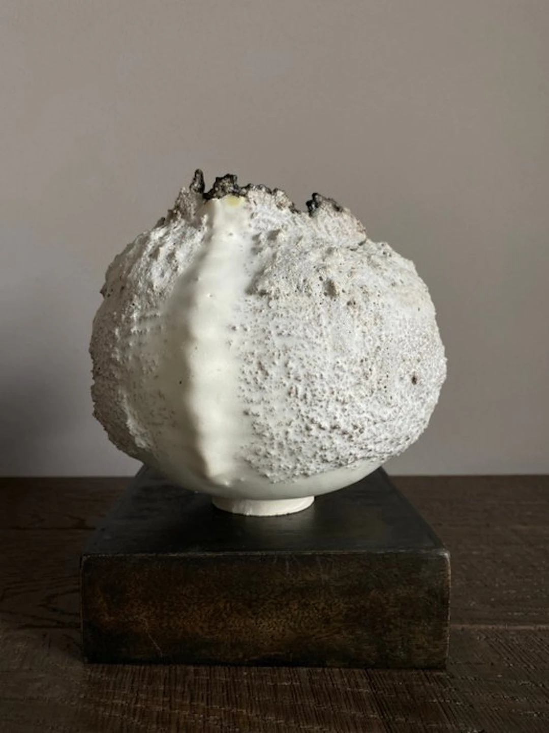 Max Modolo - Vase - Stoneware - Biomorphic Vase 2