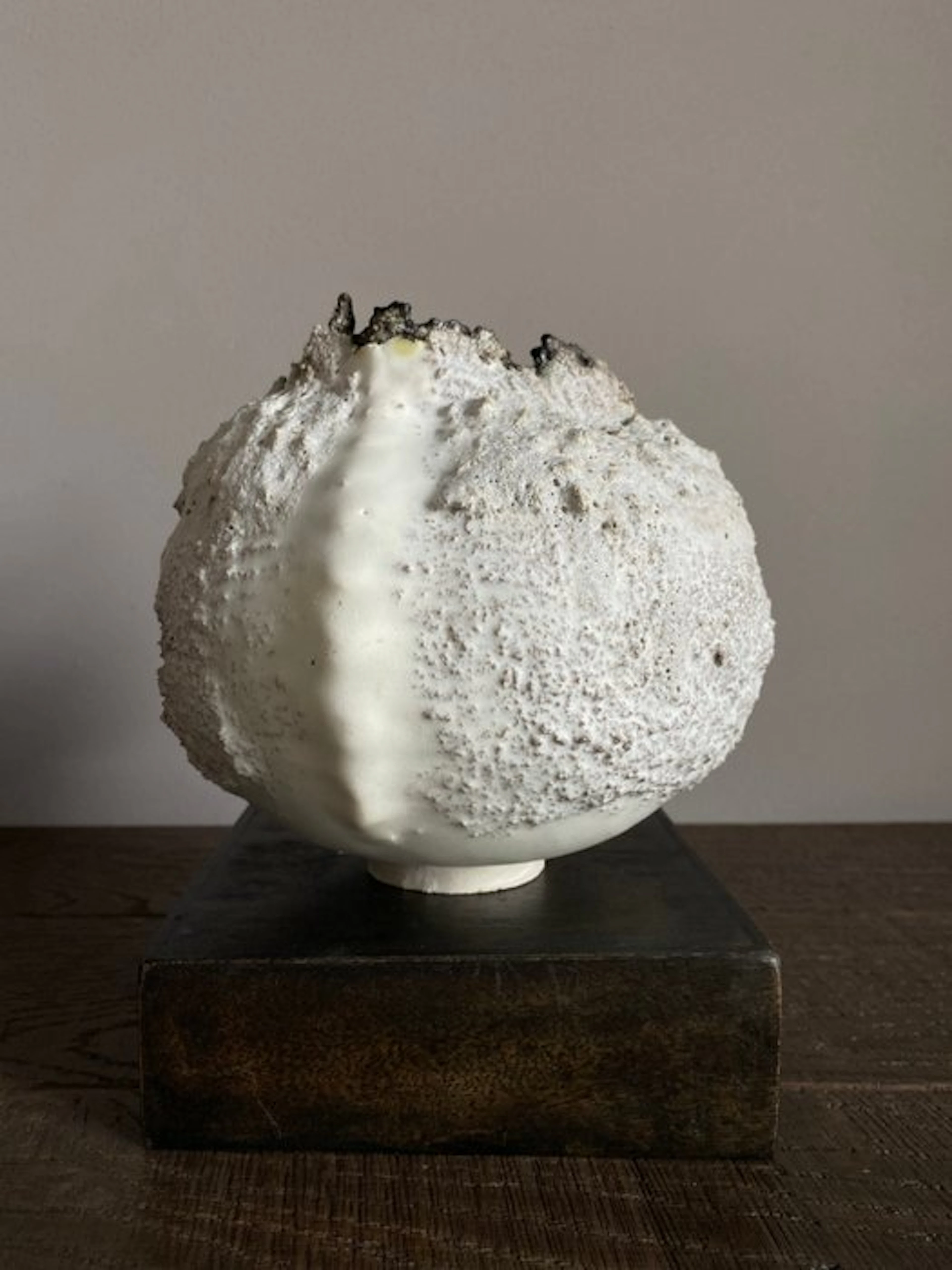 Max Modolo - Vase - Stoneware - Biomorphic Vase 2