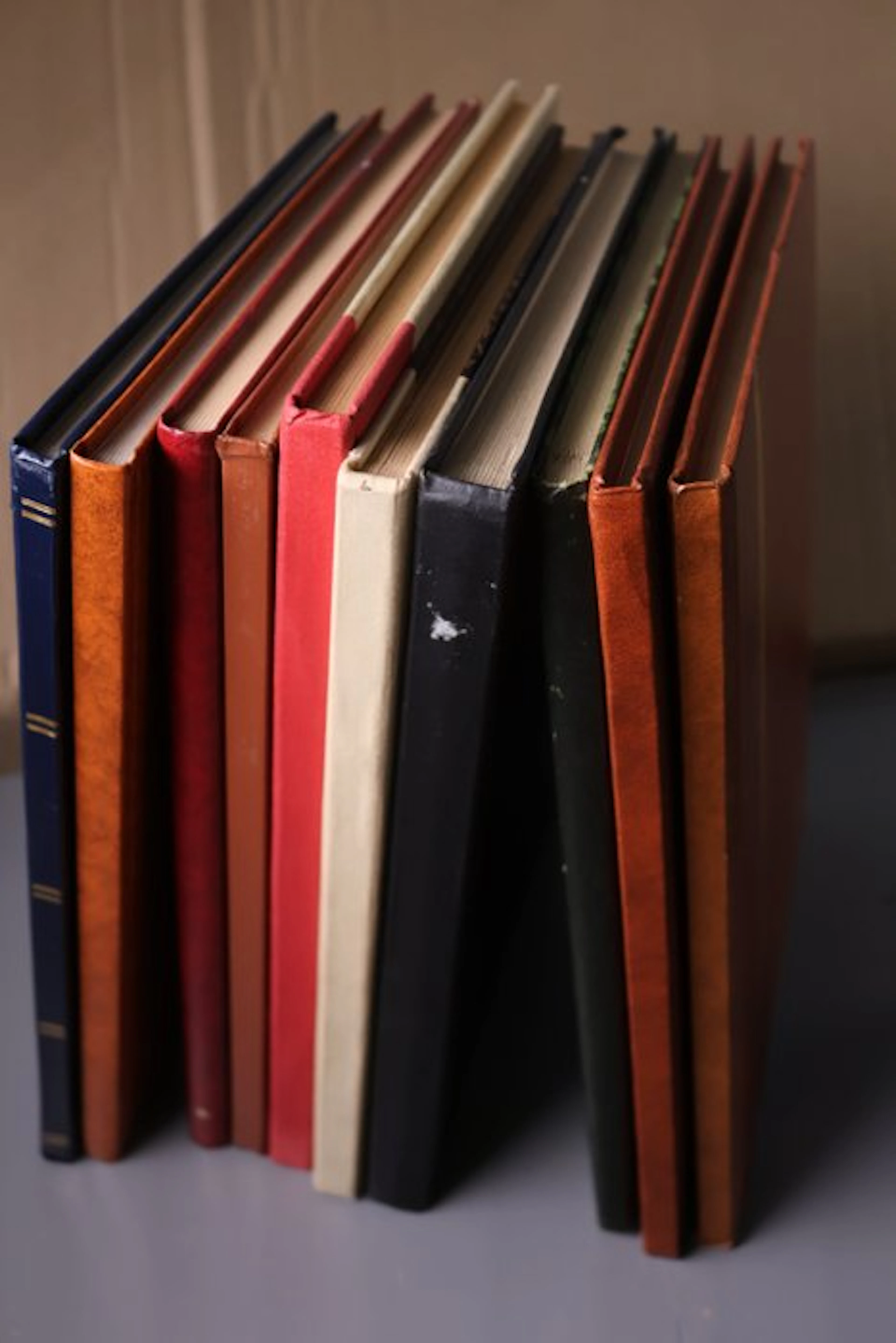 World - 10 blank stock books with white pages.