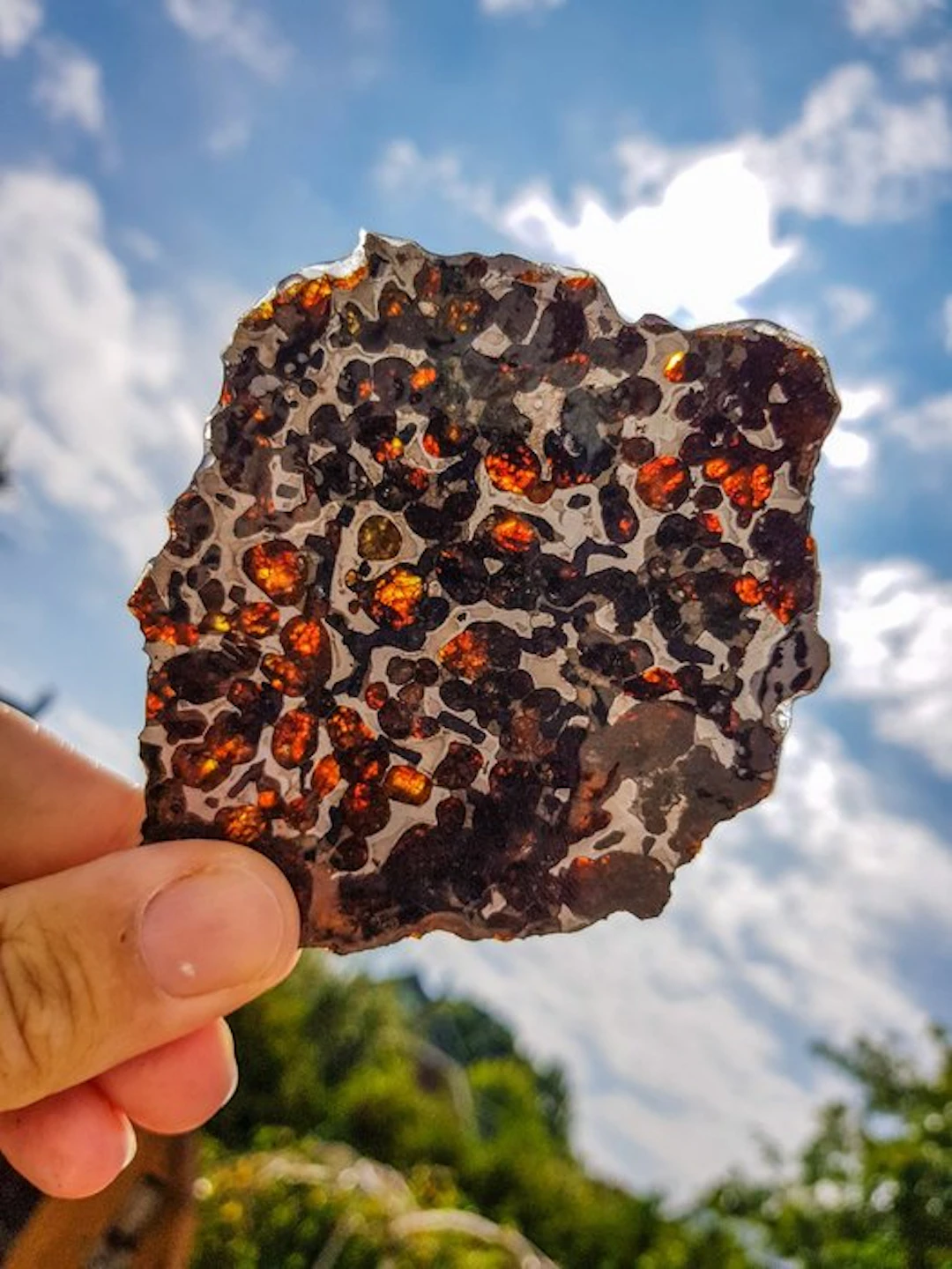Pallasite XL Sericho pallasite - Height: 11.5 cm - Width: 9 cm - 66 g