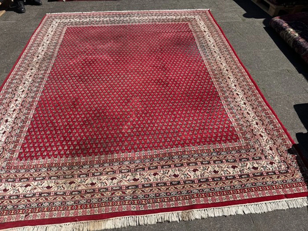Rug - 290 cm - 245 cm