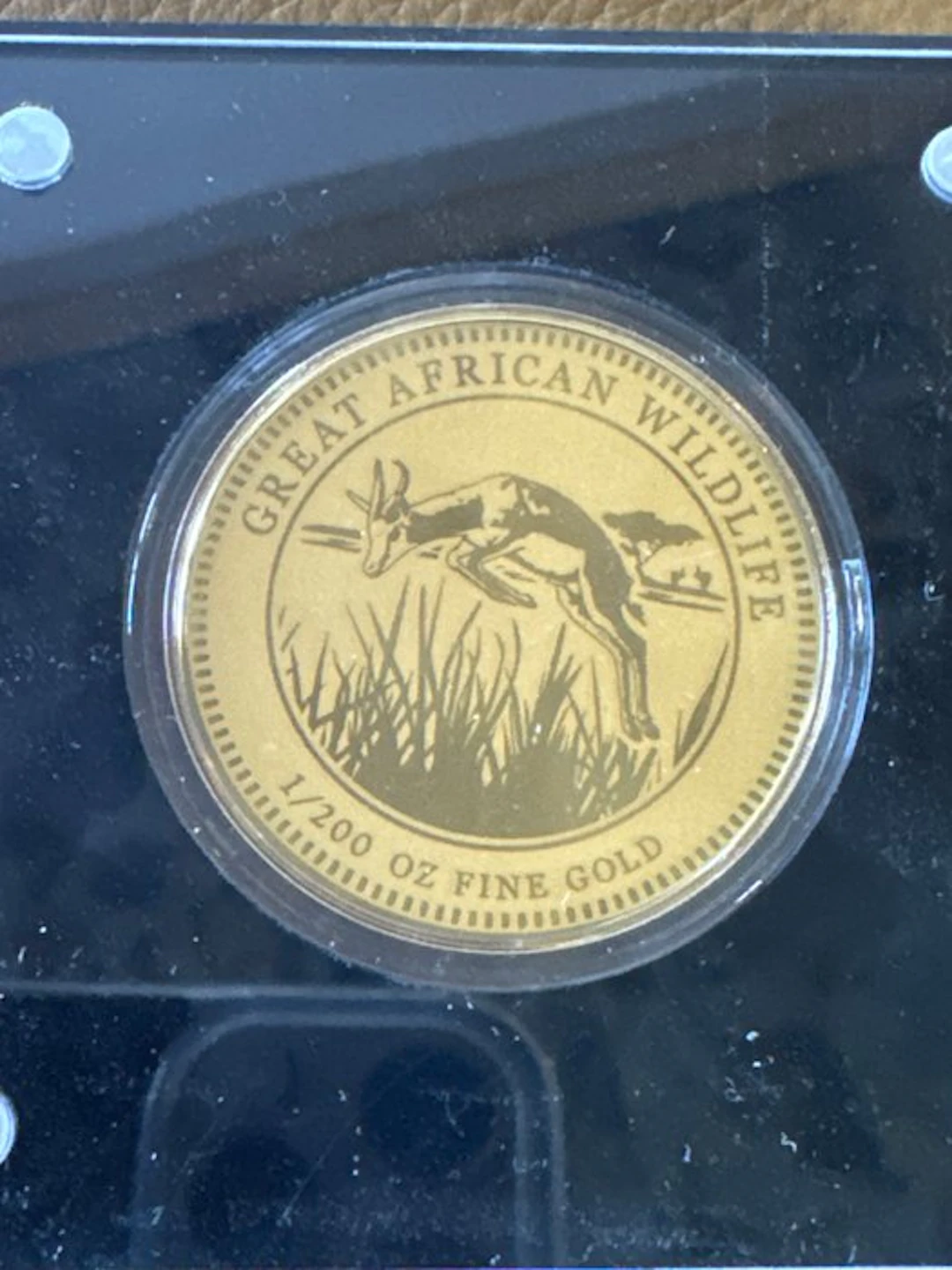 World. Gold medal 2022 - African Springbock